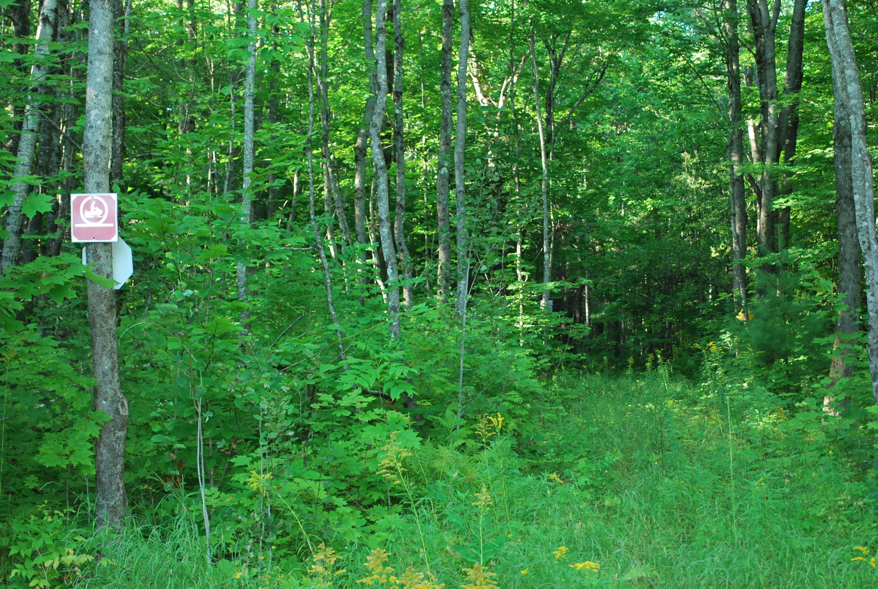 23 Stiles Road Harmony, ME 04942 - Photo 46 of 56 Wilkins Harmony 060