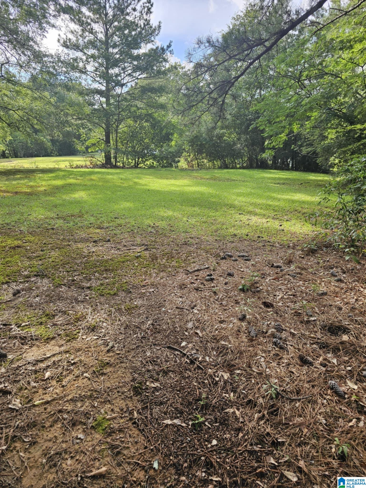 135 Hayden Springs Road Hayden, AL 35079 - Photo 35 of 37