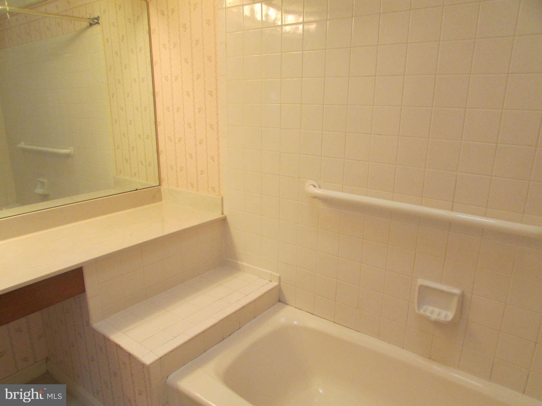 20517 Beaver Ridge Road Montgomery Village, MD 20886 - Photo 27 of 29 Bath (Master)