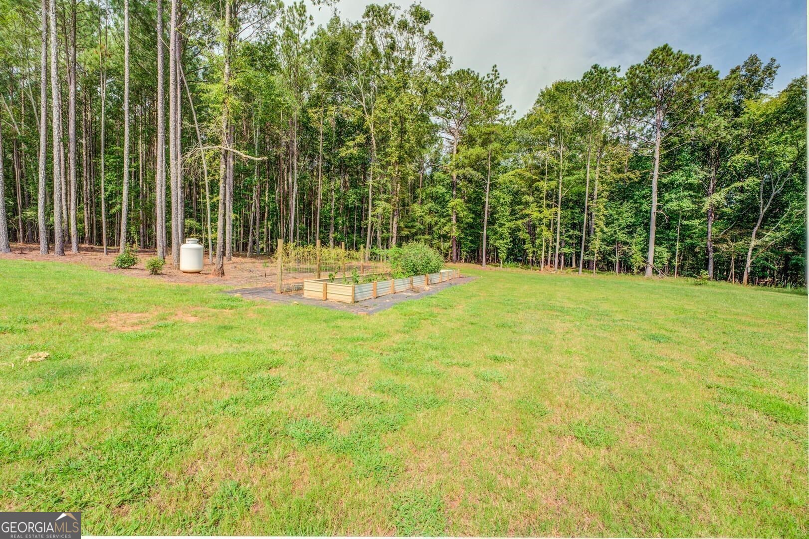 3060 Eatonton Road Madison, GA 30650 - Photo 60 of 65 a view of a park with large trees