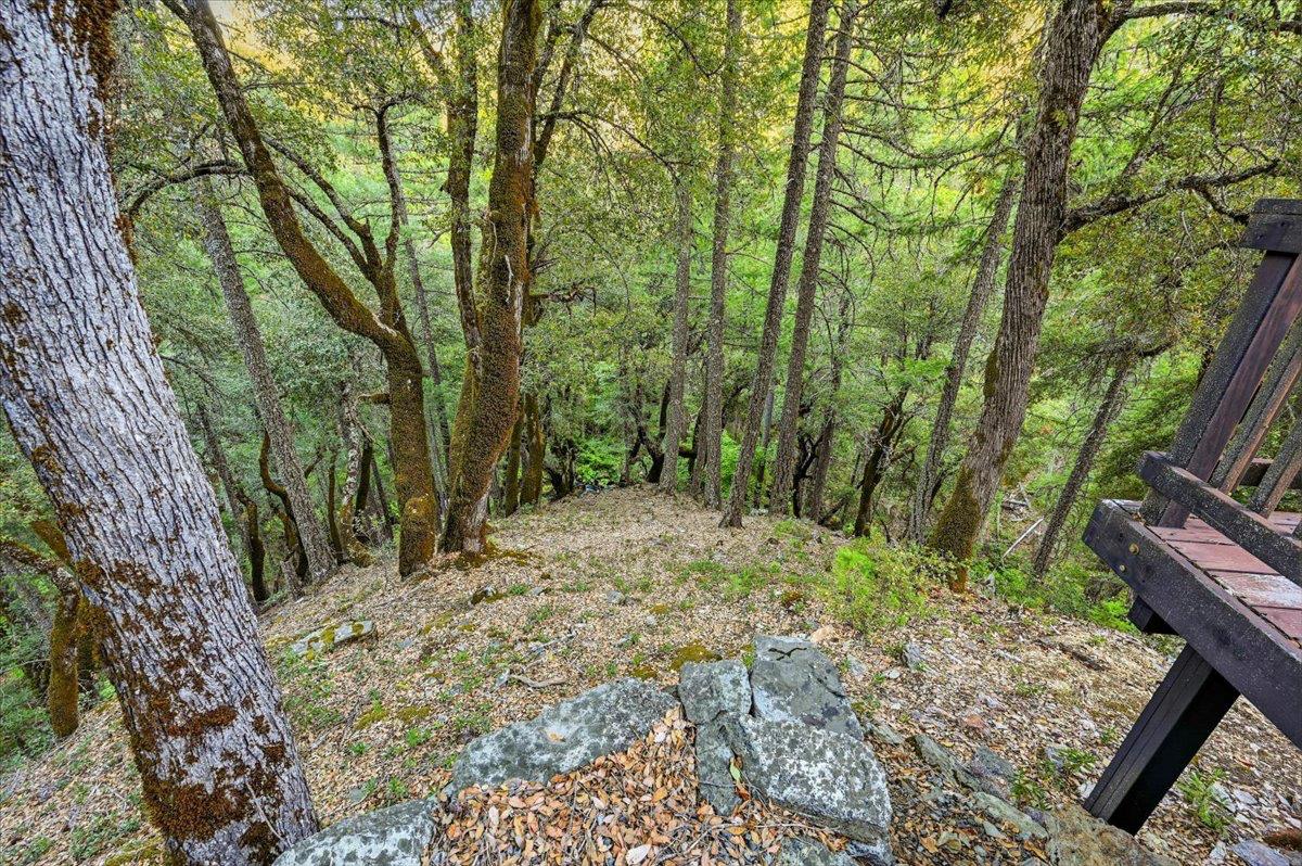 200 Craycroft Ridge Road Downieville, CA 95936 - Photo 53 of 69 Gallery Image 53