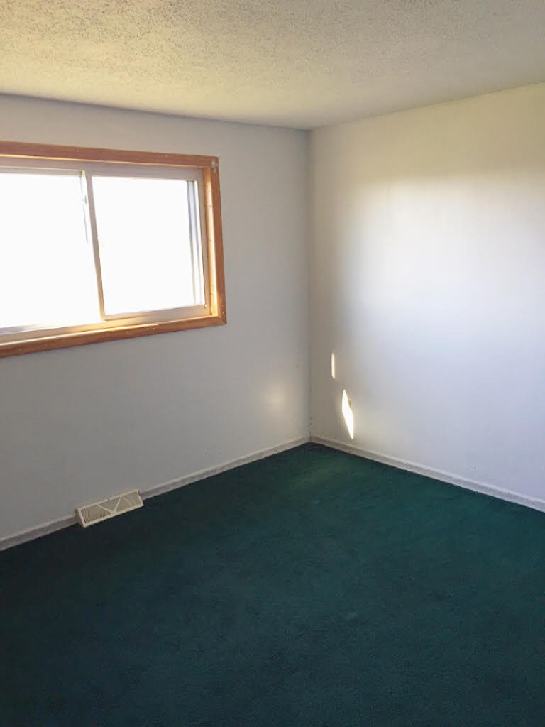 203 West Goodemoot Road Portland, MI 48875 - Photo 12 of 12 7
