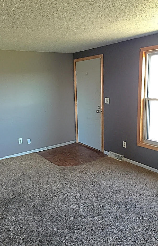 203 West Goodemoot Road Portland, MI 48875 - Photo 4 of 12 9