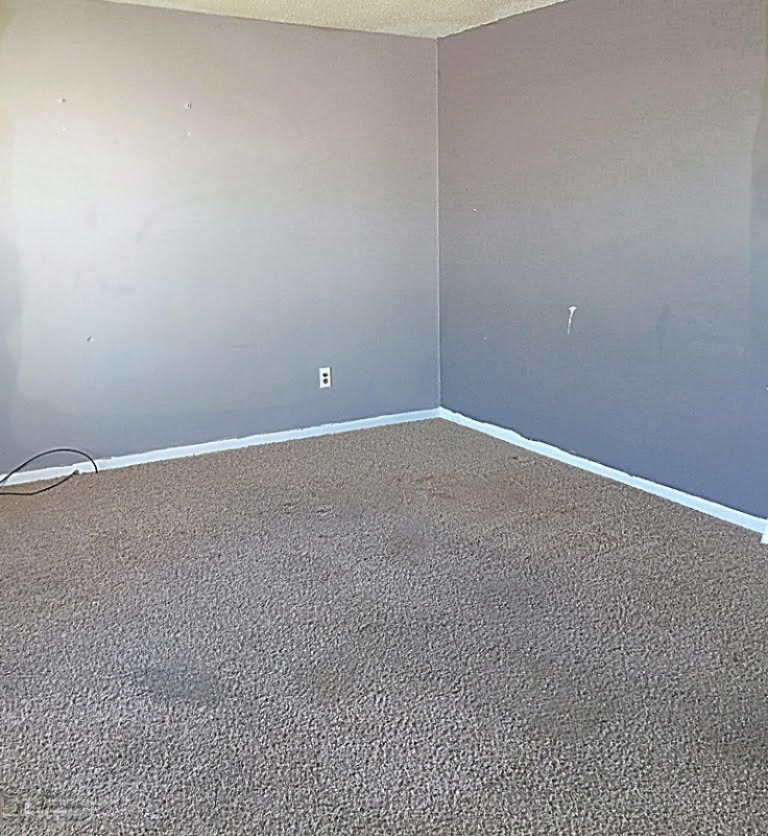 203 West Goodemoot Road Portland, MI 48875 - Photo 5 of 12 1