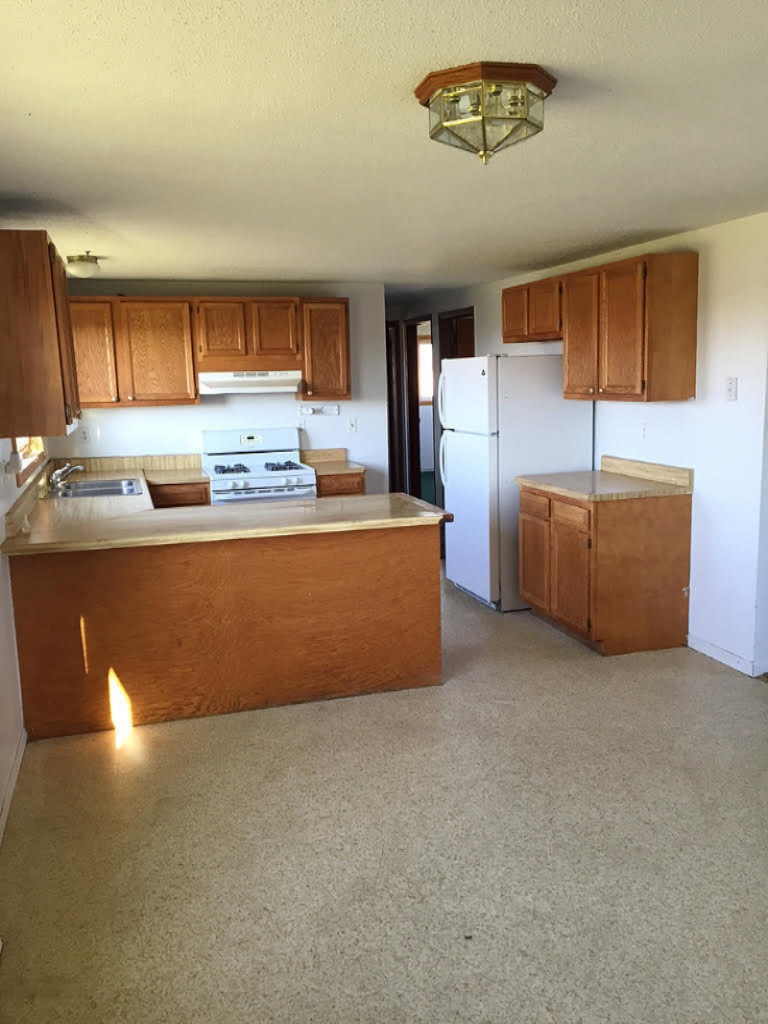 203 West Goodemoot Road Portland, MI 48875 - Photo 7 of 12 3
