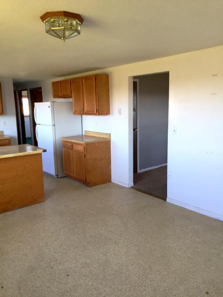 203 West Goodemoot Road Portland, MI 48875 - Photo 8 of 12 4