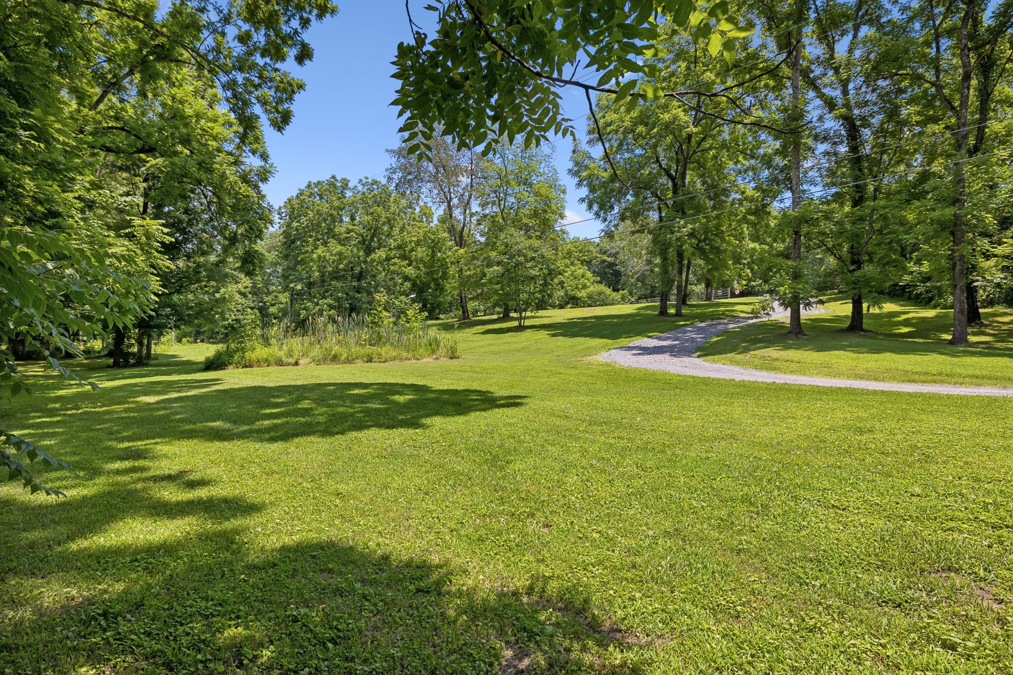 8188 Shoals Branch Road Primm Springs, TN 38476 - Photo 45 of 67 Gallery Image 45