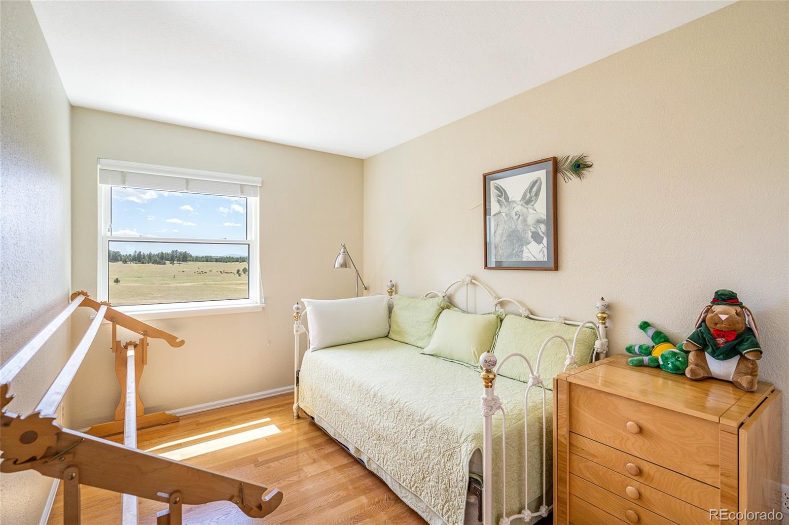 37567 Sable Ridge Road Elizabeth, CO 80107 - Photo 20 of 32 Gallery Image 20