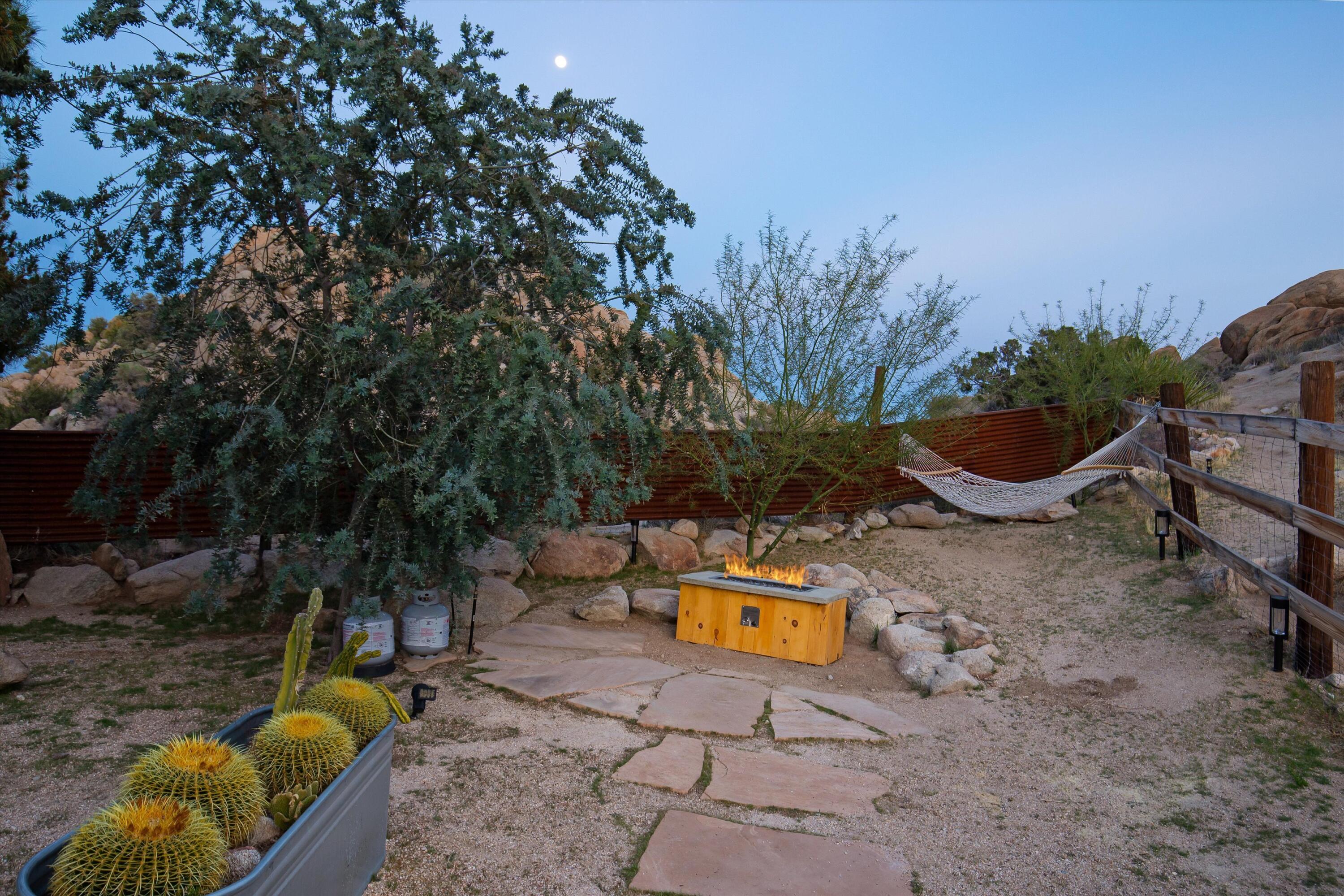 57113 Farrelo Road Yucca Valley, CA 92284 - Photo 35 of 50 a view of a backyard with plants and tree