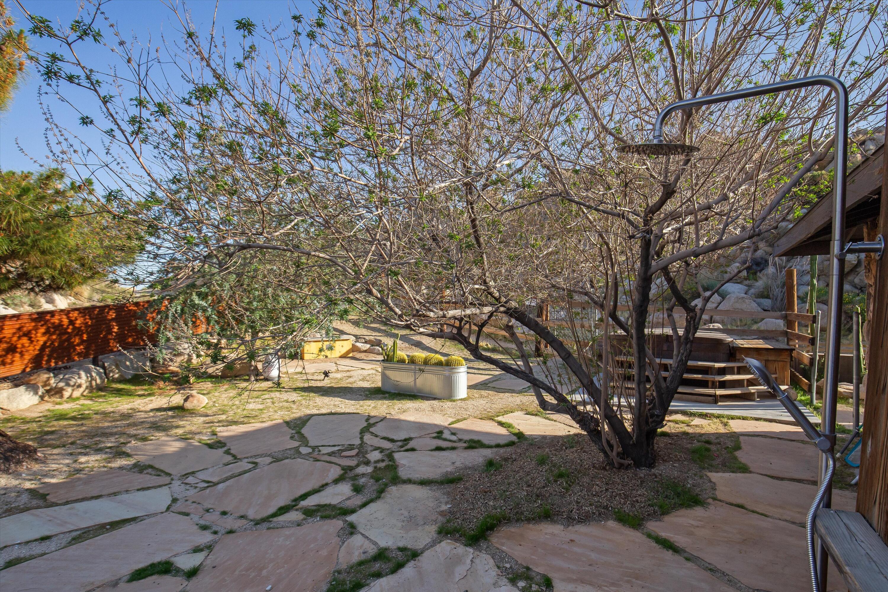 57113 Farrelo Road Yucca Valley, CA 92284 - Photo 37 of 50 a view of yard with tree