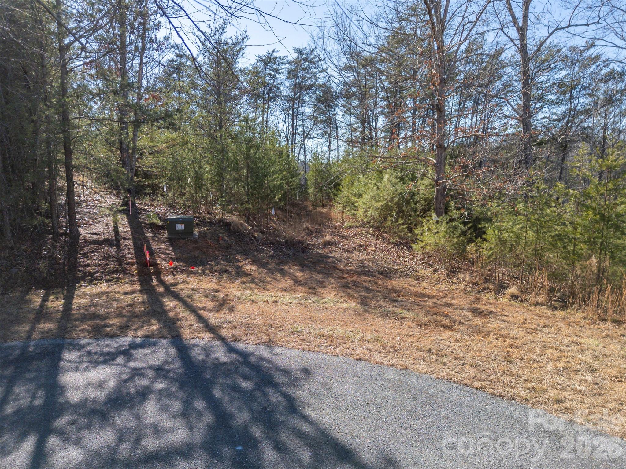 0 Indian Summer Lane, Unit 4 Mill Spring, NC 28756 - Photo 11 of 17