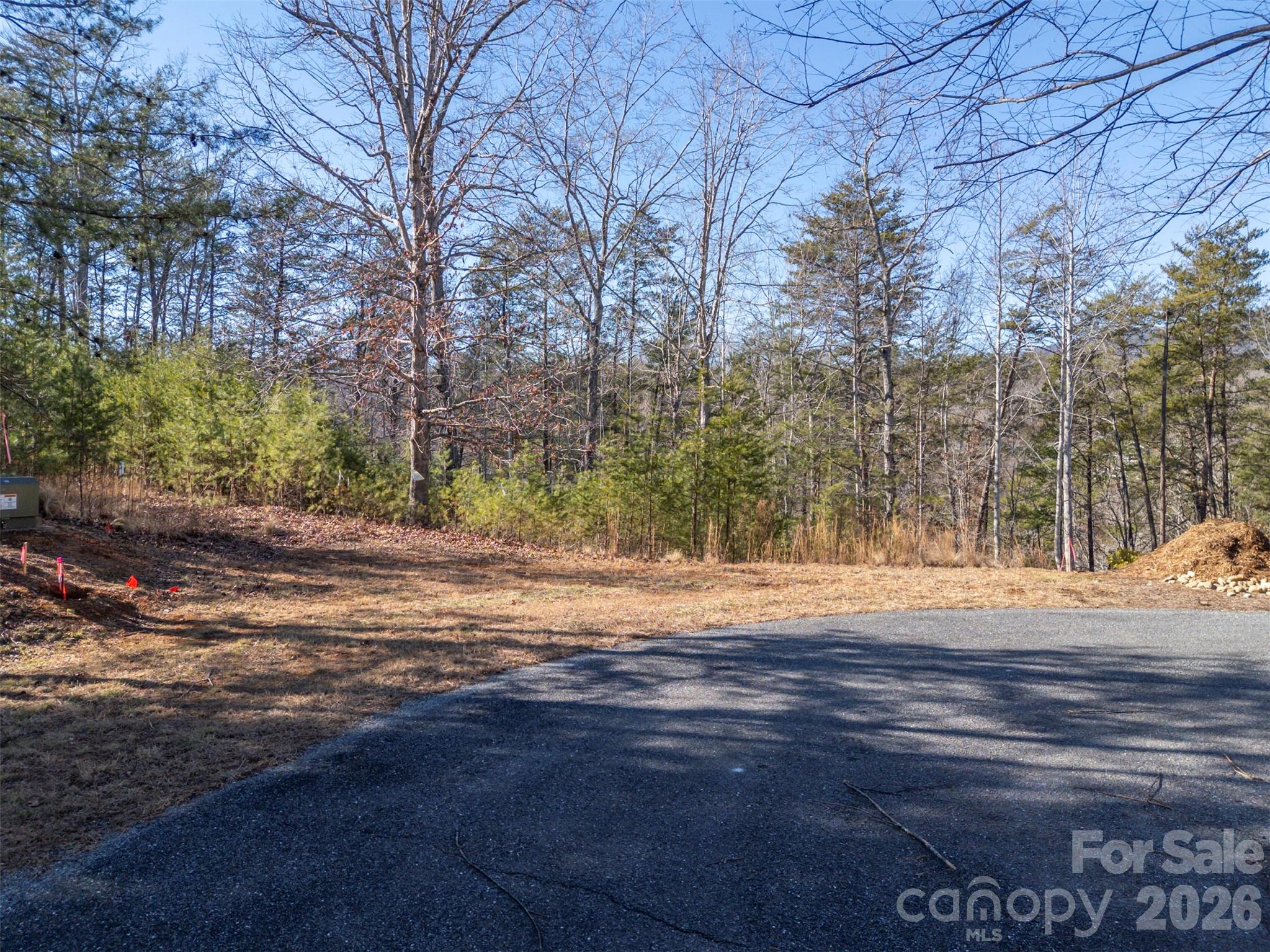 0 Indian Summer Lane, Unit 4 Mill Spring, NC 28756 - Photo 12 of 17