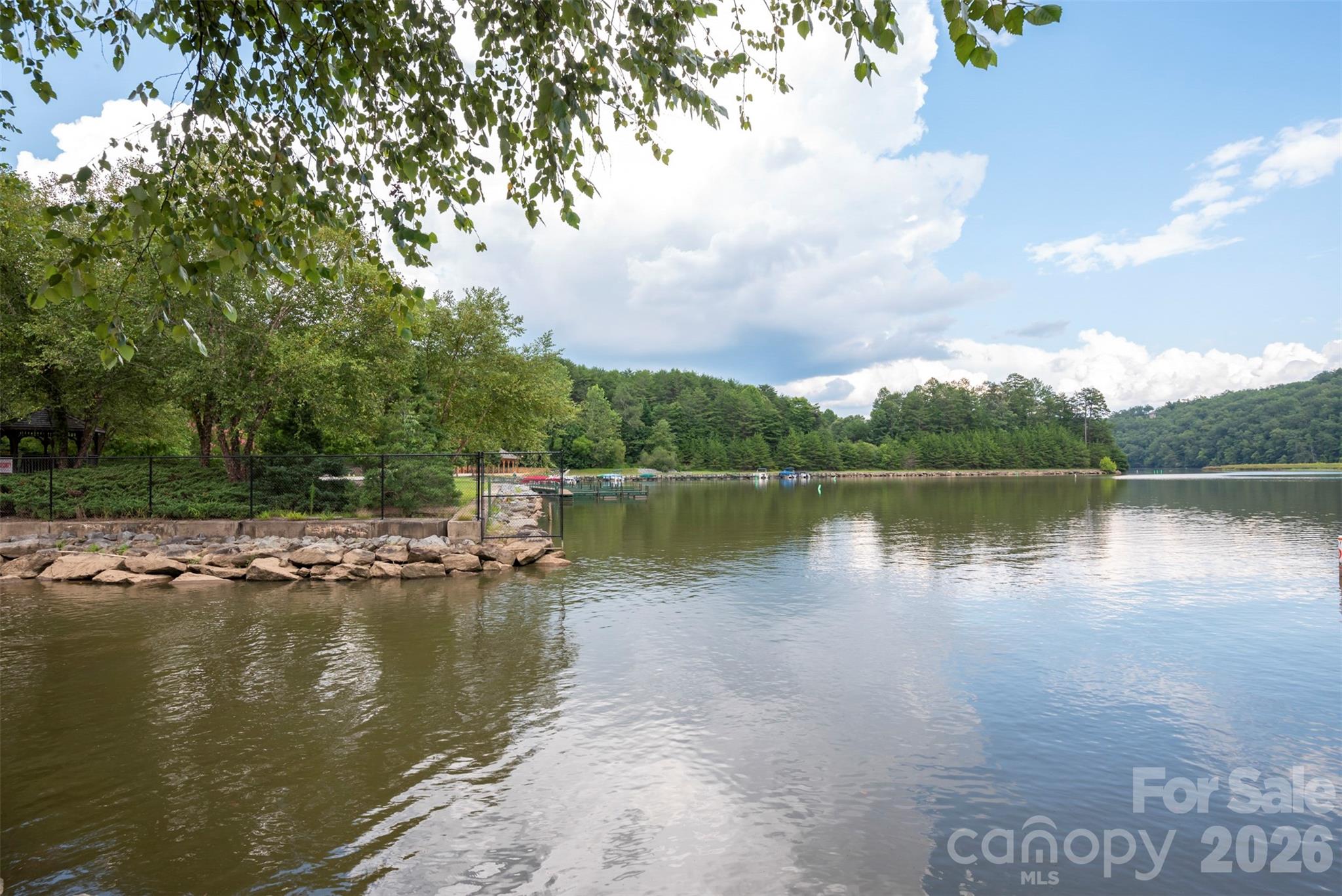 0 Indian Summer Lane, Unit 4 Mill Spring, NC 28756 - Photo 16 of 17