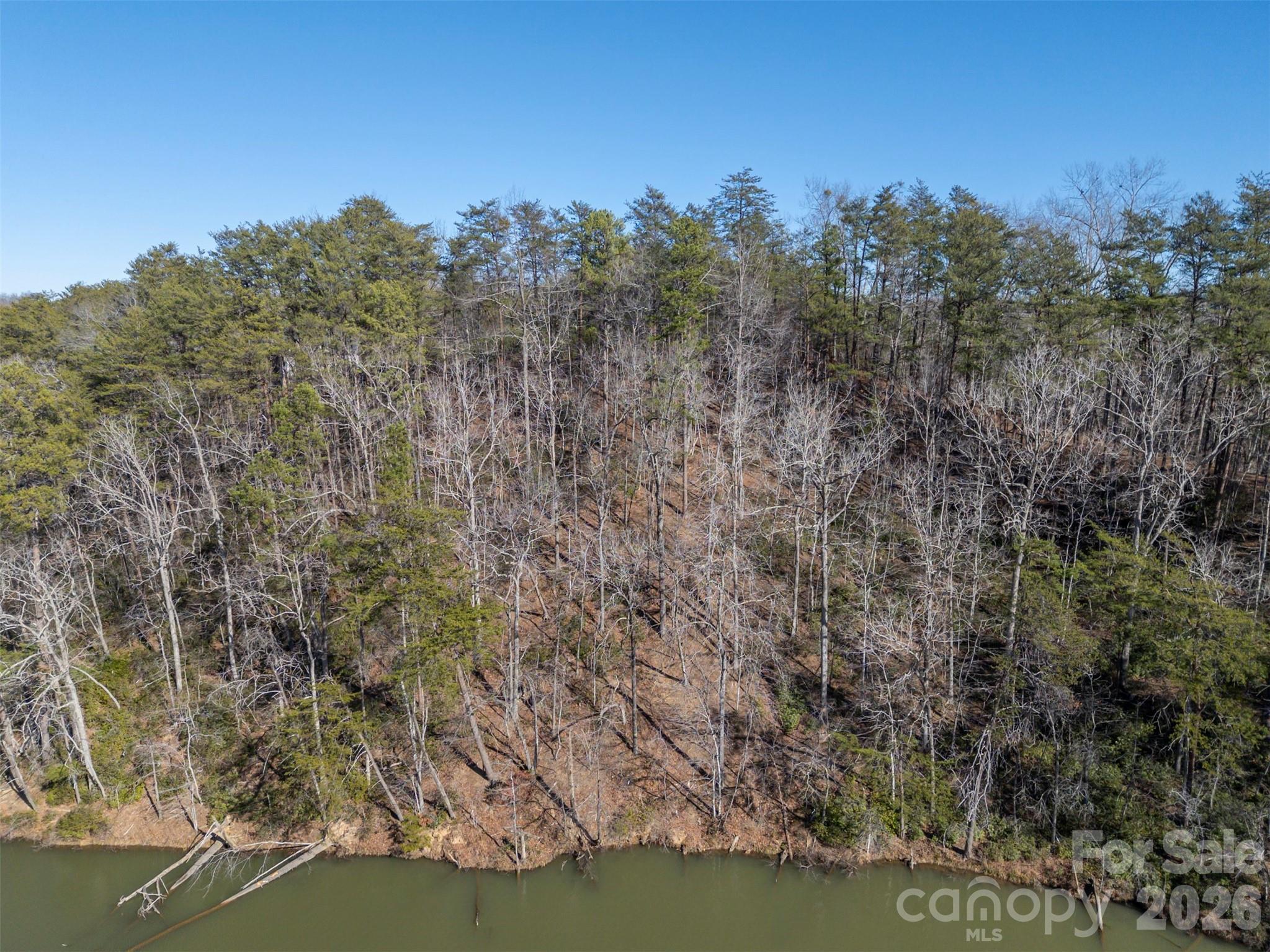 0 Indian Summer Lane, Unit 4 Mill Spring, NC 28756 - Photo 6 of 17
