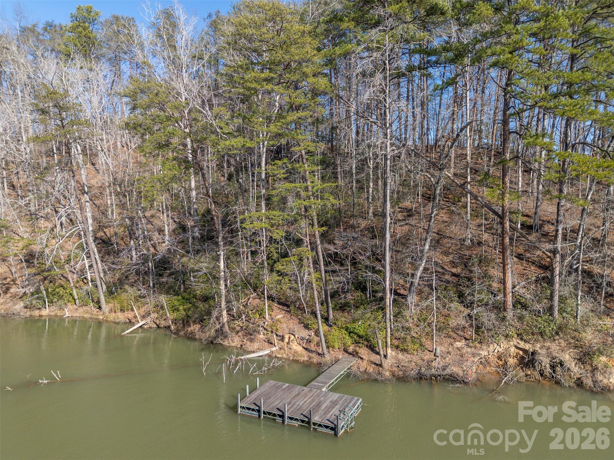 0 Indian Summer Lane, Unit 4 Mill Spring, NC 28756 - Photo 7 of 17