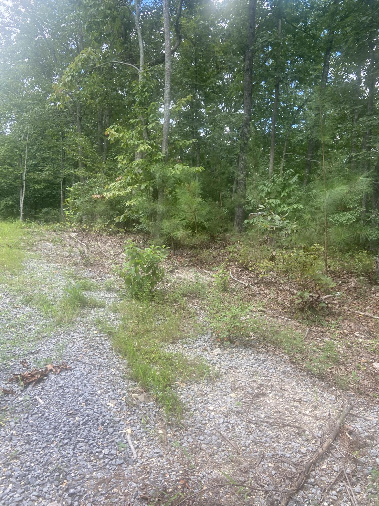 Lot 7 Northwest Mowery Road Cleveland, TN 37312 - Photo 4 of 5 IMG_8815