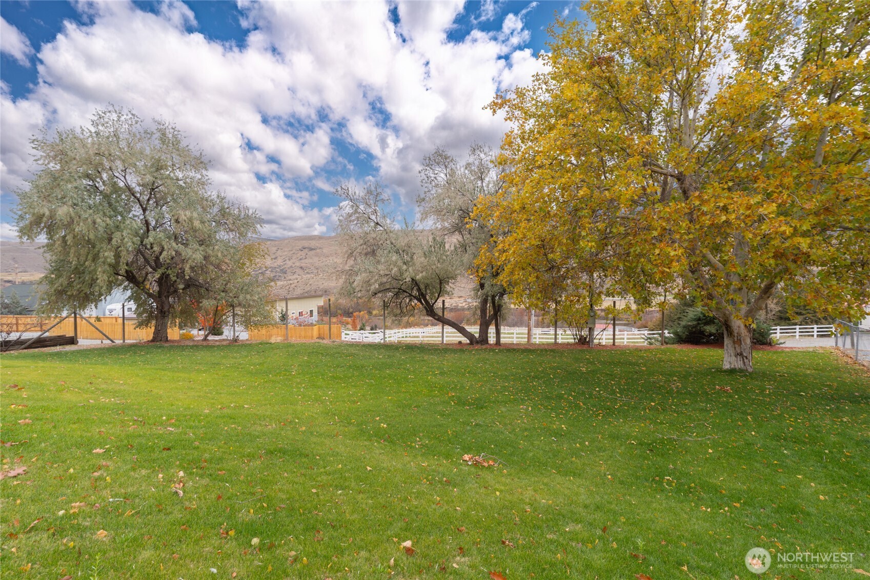 110 Bill Shaw Road Pateros, WA 98846 - Photo 20 of 39 a view of a trees in a yard