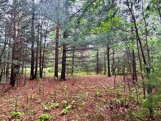 1.03-acres County Rd X Schofield, WI 54476 - Photo 7 of 10