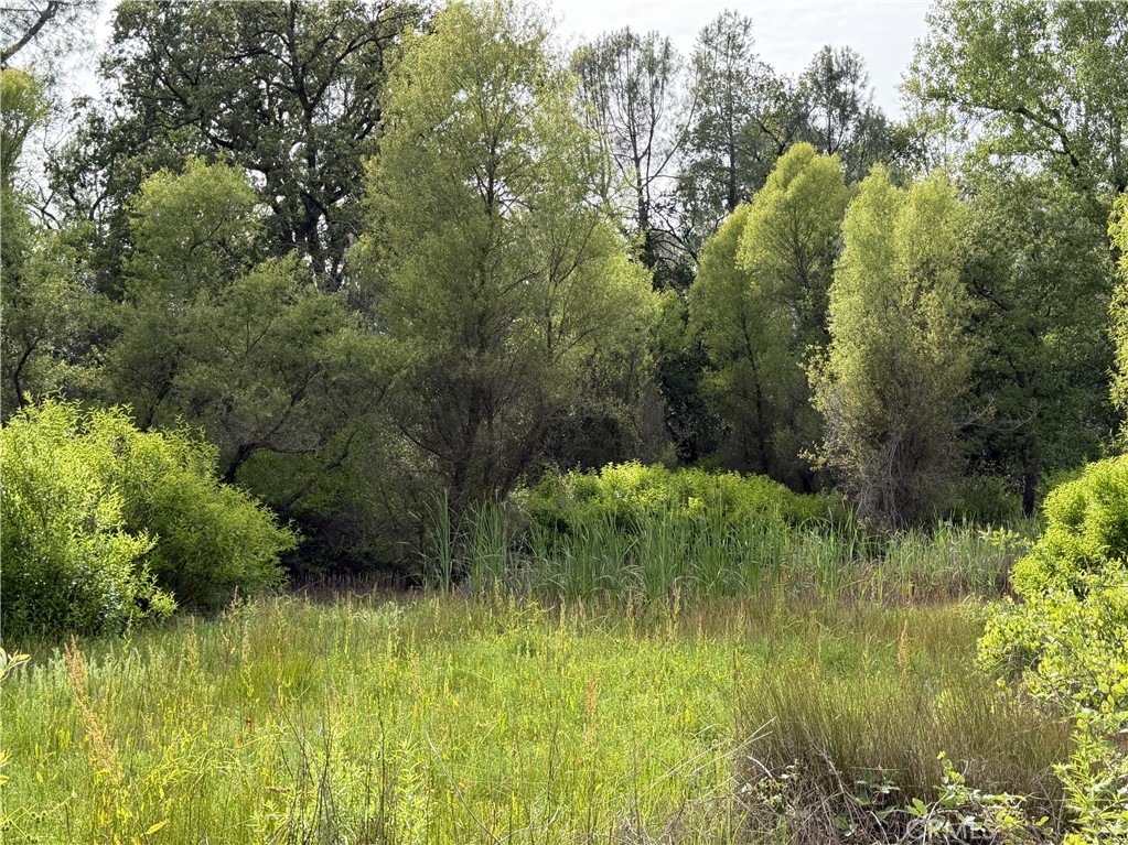 0 Ophir Road Oroville, CA 95966 - Photo 19 of 29 a view of a garden