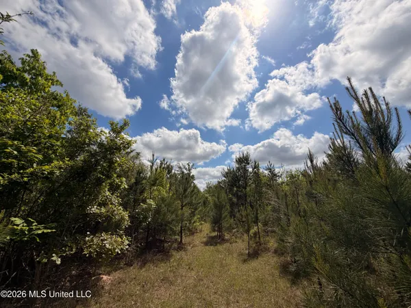 $249,999 | 93 Hammond Road, Monticello, MS 39654