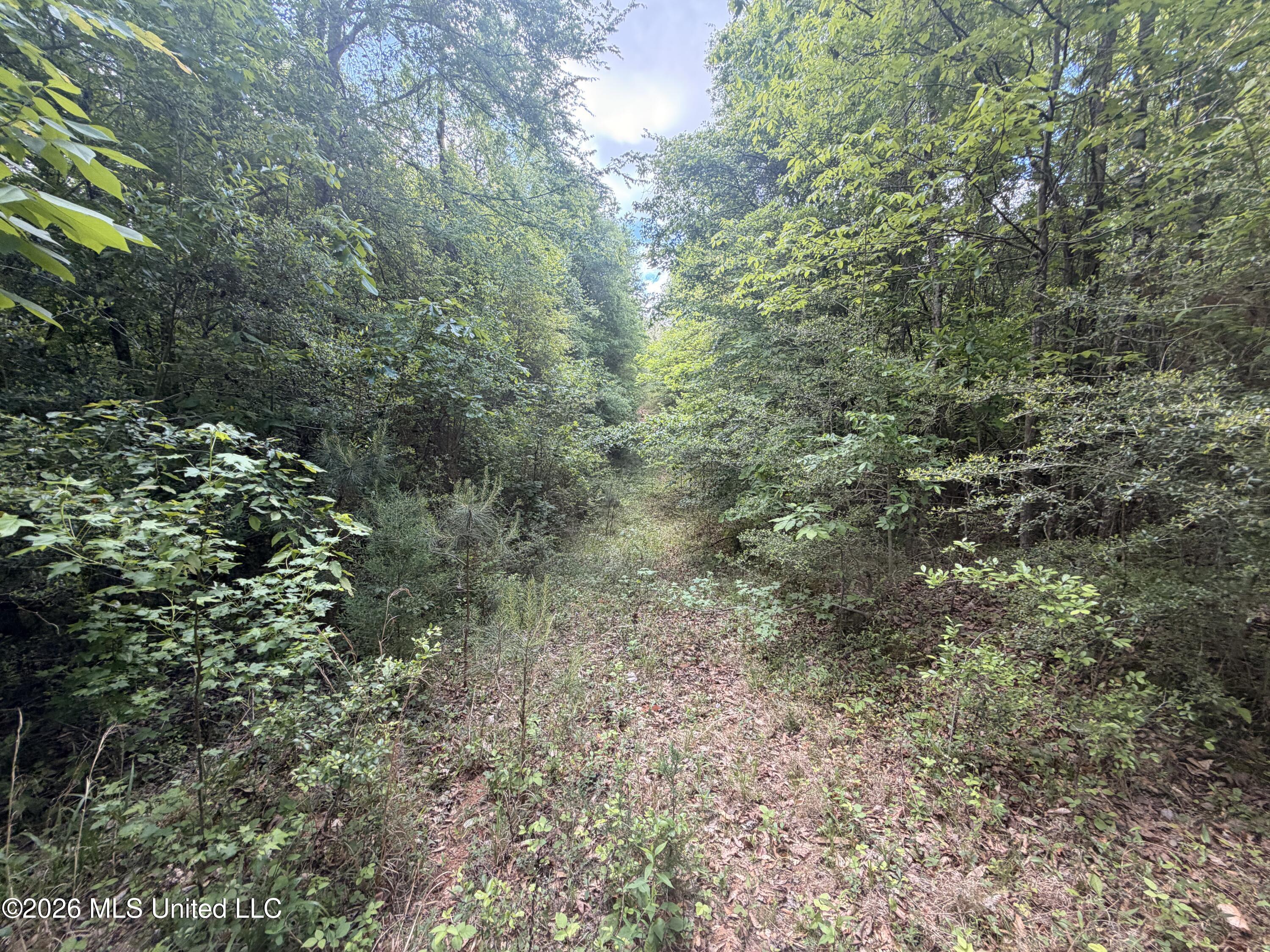 93 Hammond Road Monticello, MS 39654 - Photo 11 of 21 IMG_2793