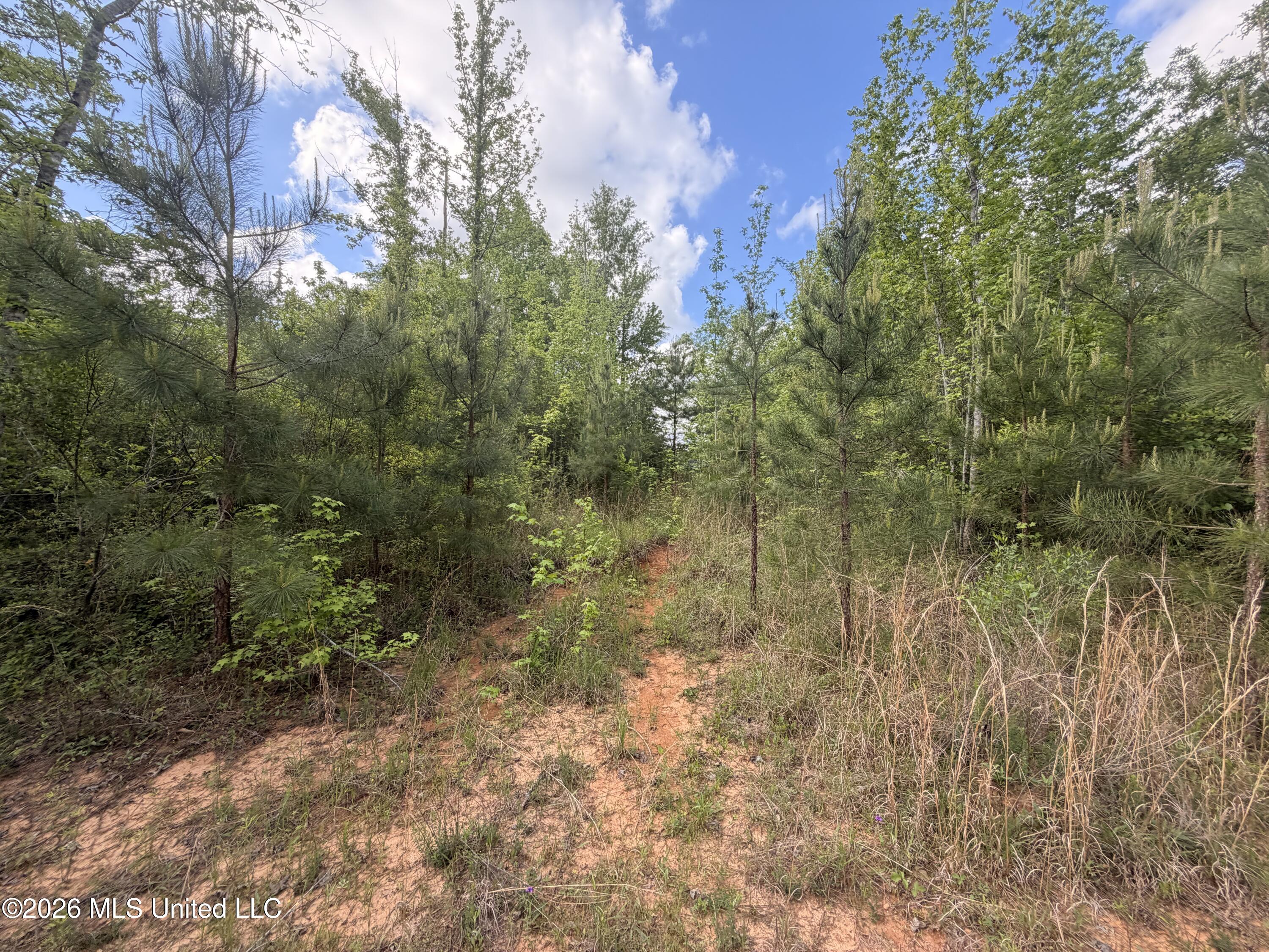 93 Hammond Road Monticello, MS 39654 - Photo 12 of 21 IMG_2788