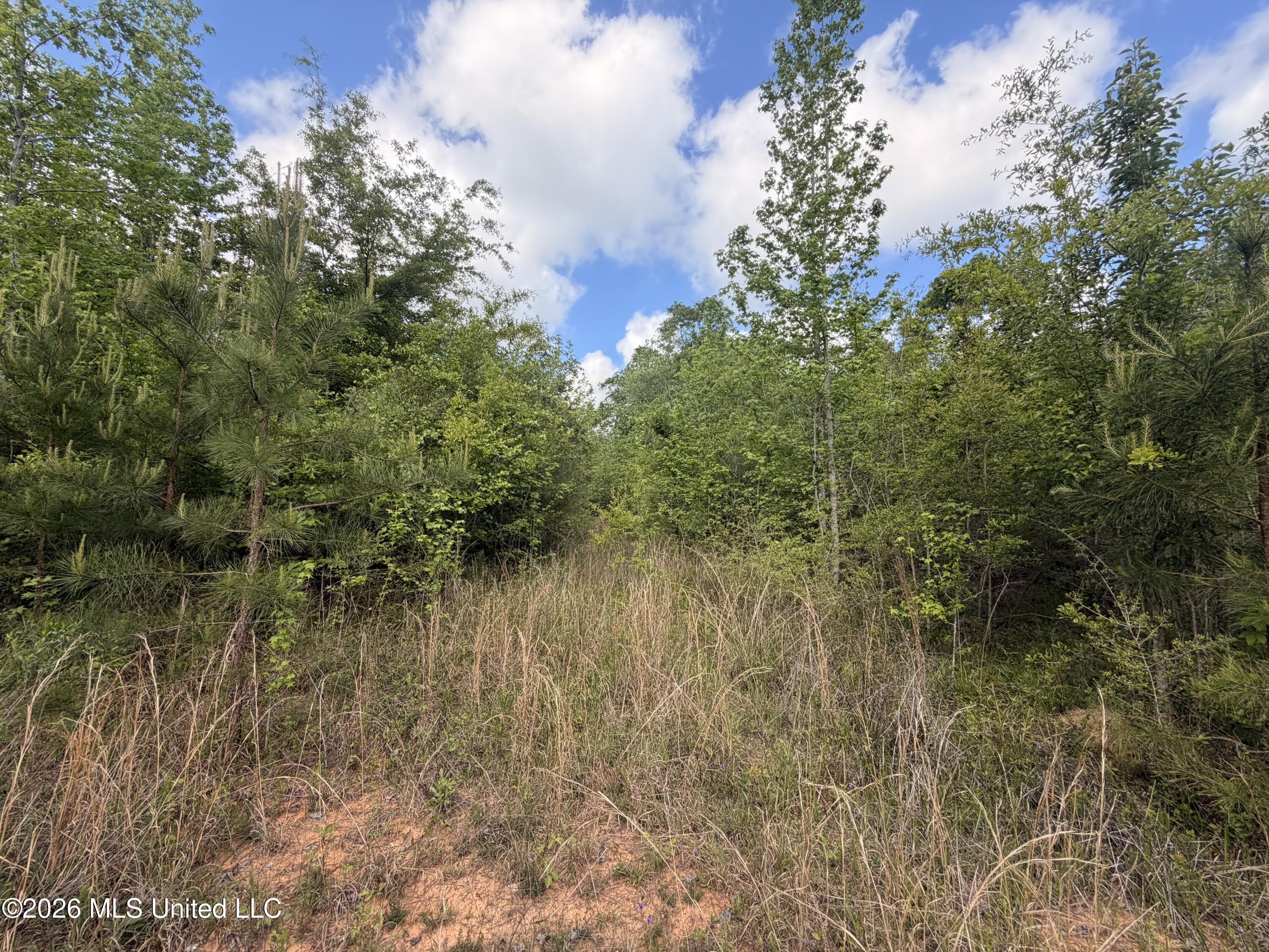 93 Hammond Road Monticello, MS 39654 - Photo 13 of 21 IMG_2786