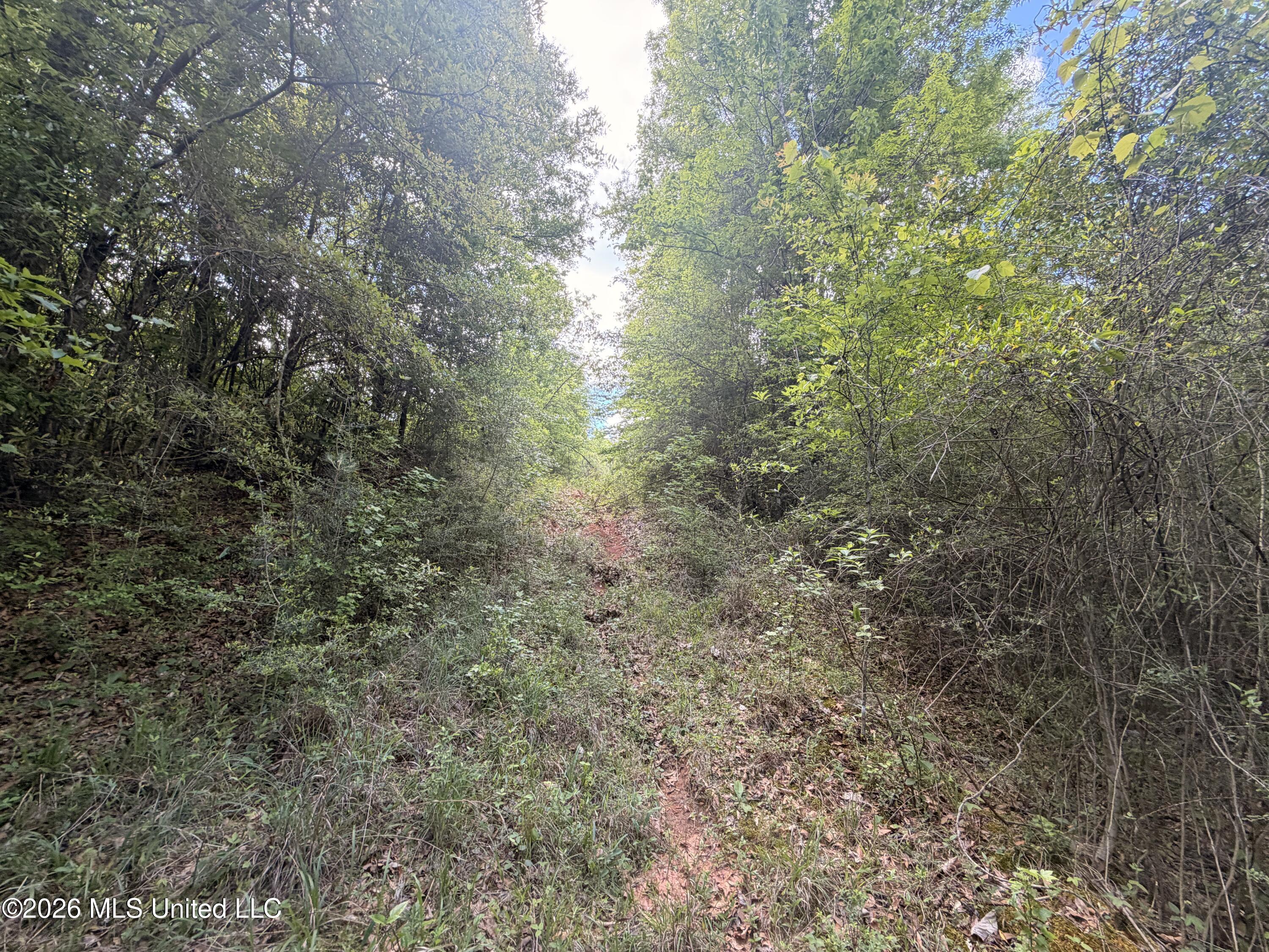 93 Hammond Road Monticello, MS 39654 - Photo 14 of 21 IMG_2792