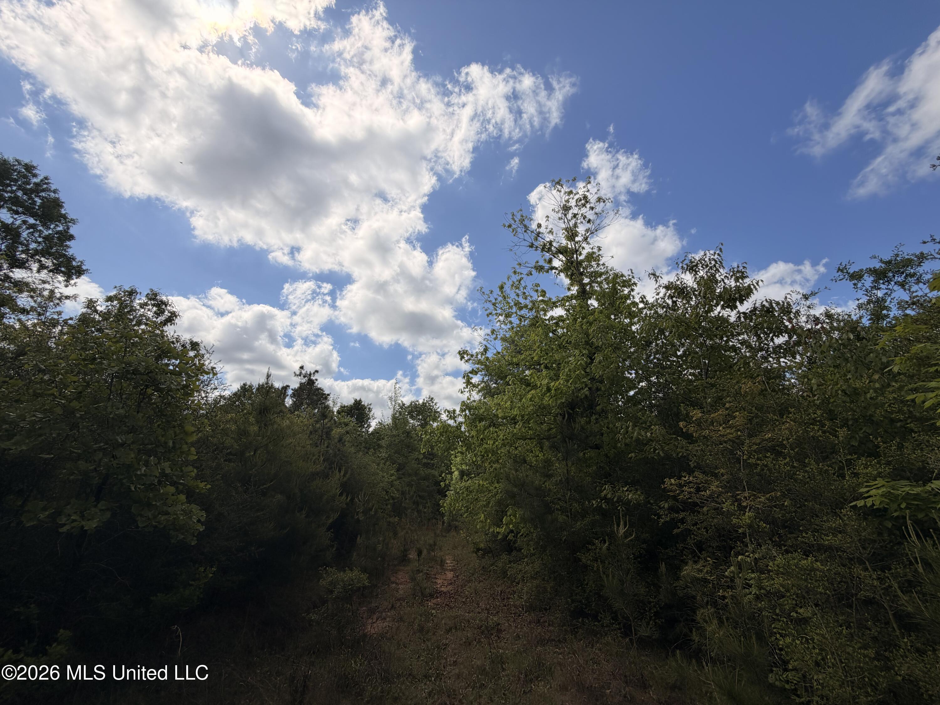 93 Hammond Road Monticello, MS 39654 - Photo 15 of 21 IMG_2804