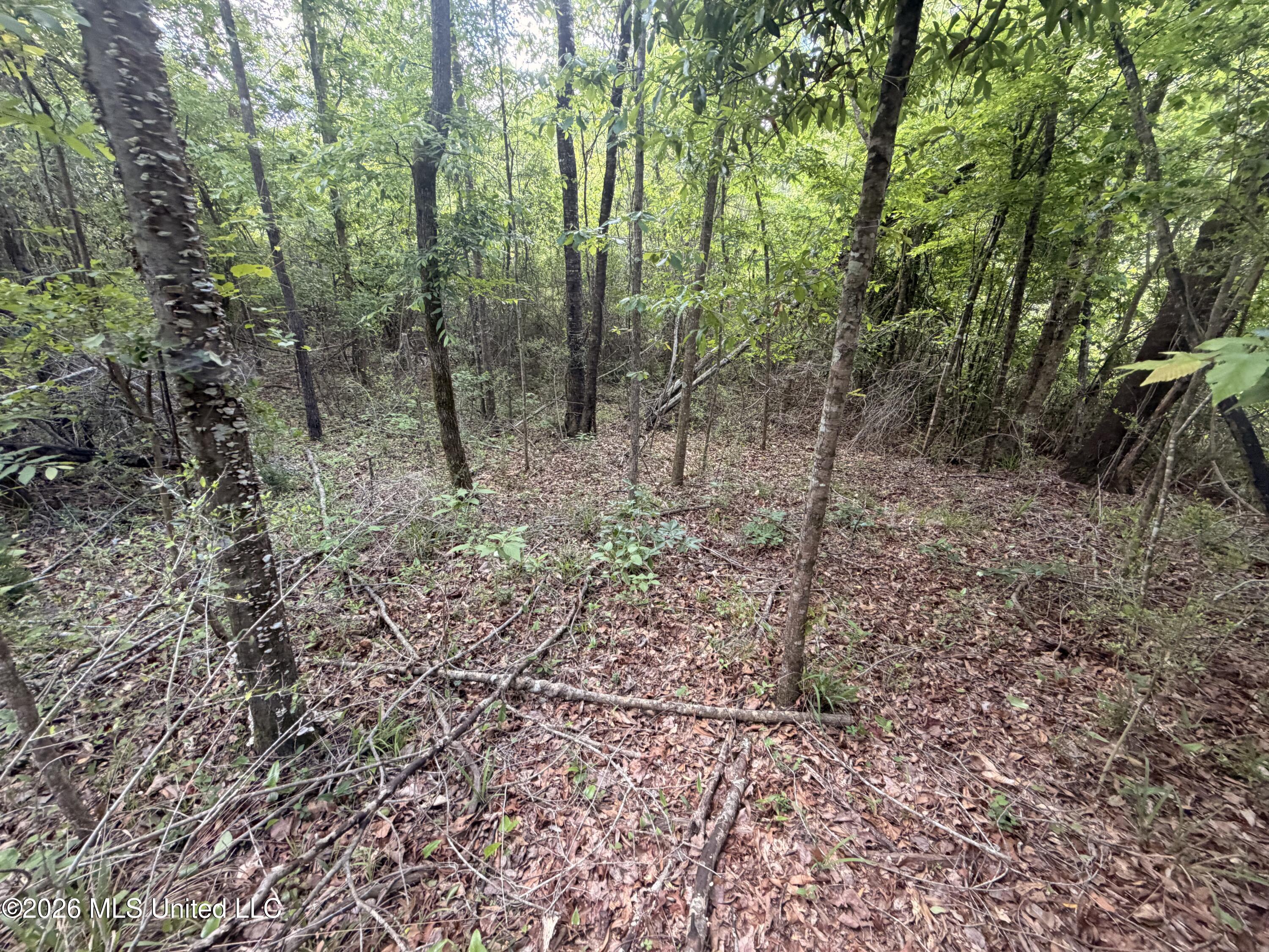 93 Hammond Road Monticello, MS 39654 - Photo 16 of 21 IMG_2799