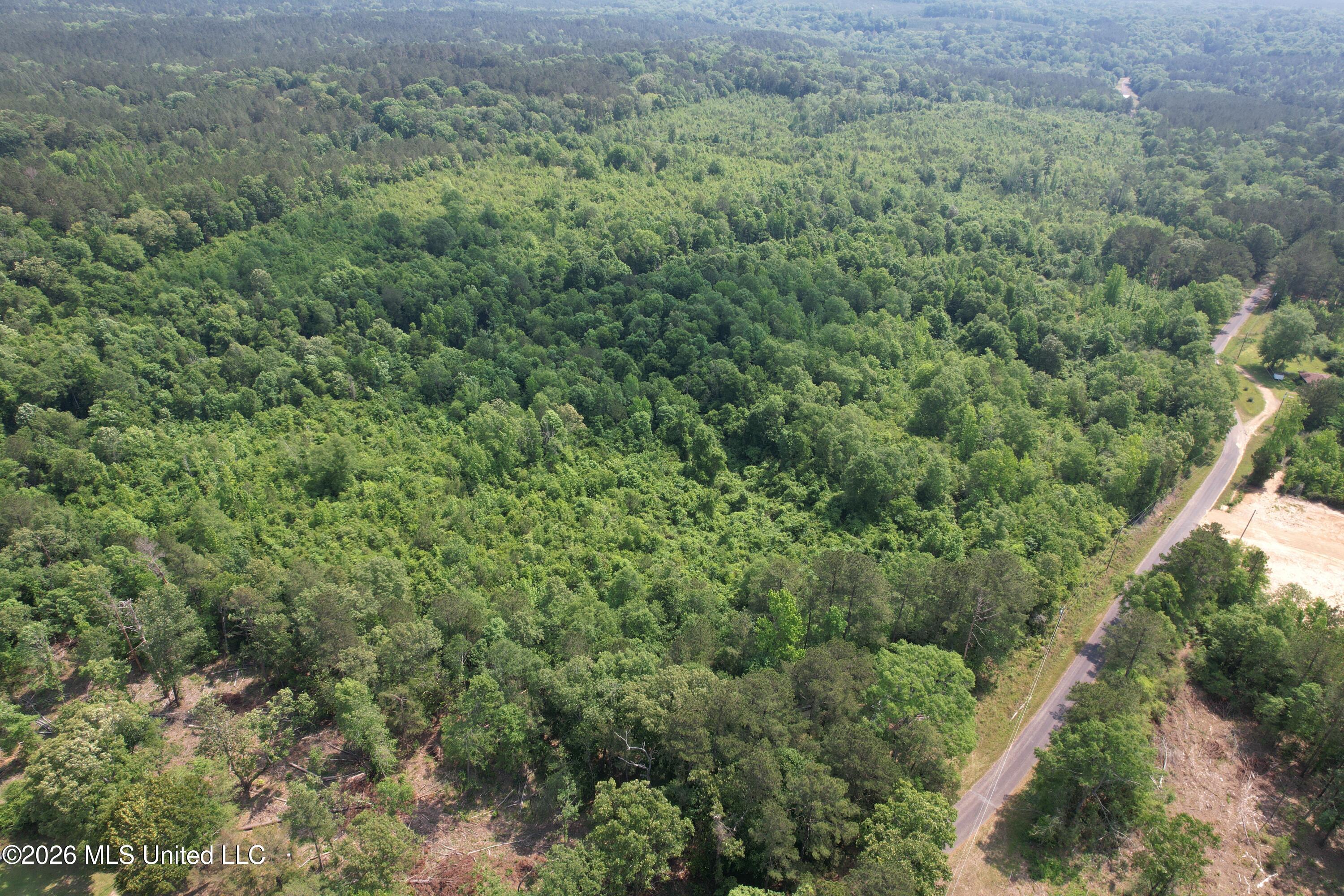 93 Hammond Road Monticello, MS 39654 - Photo 17 of 28 DJI_0925