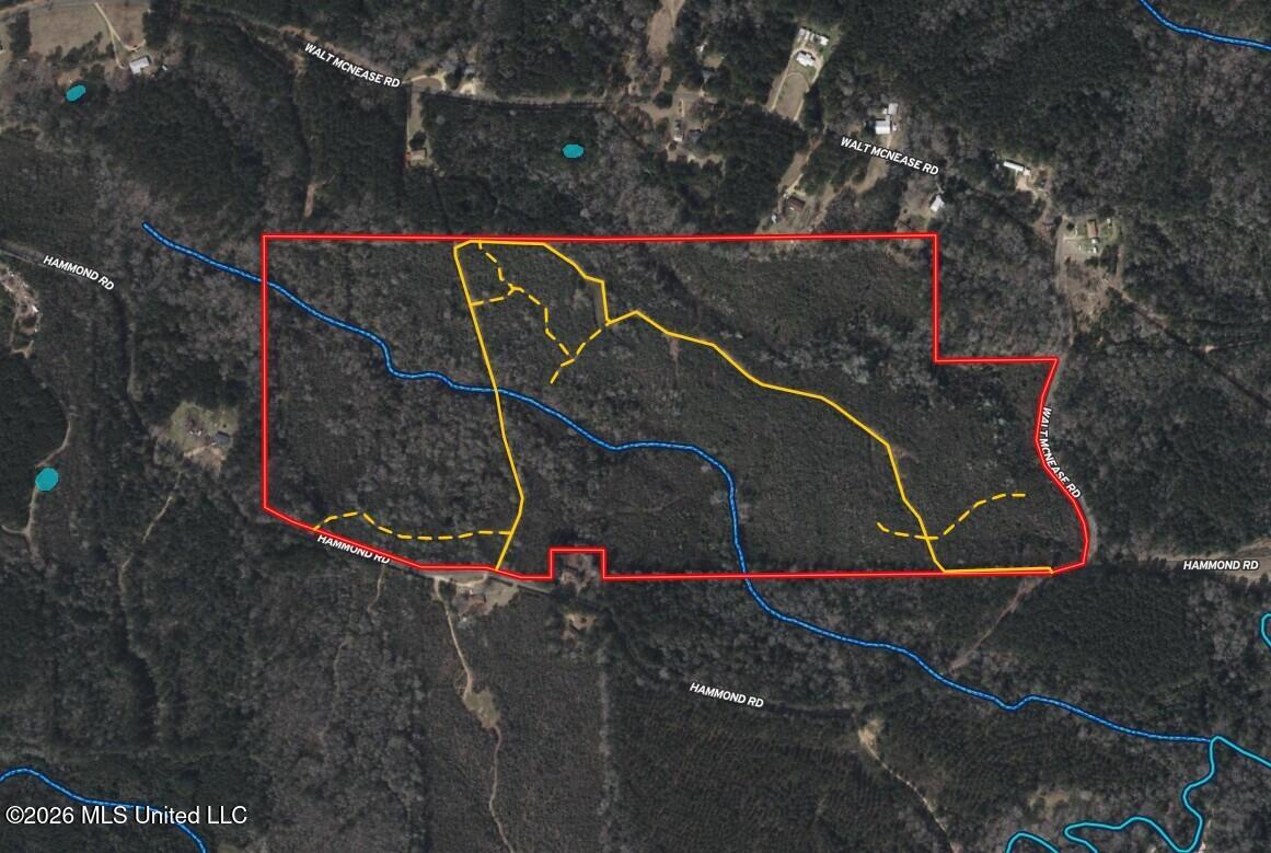 93 Hammond Road Monticello, MS 39654 - Photo 18 of 21 85 Lawrence Aerial