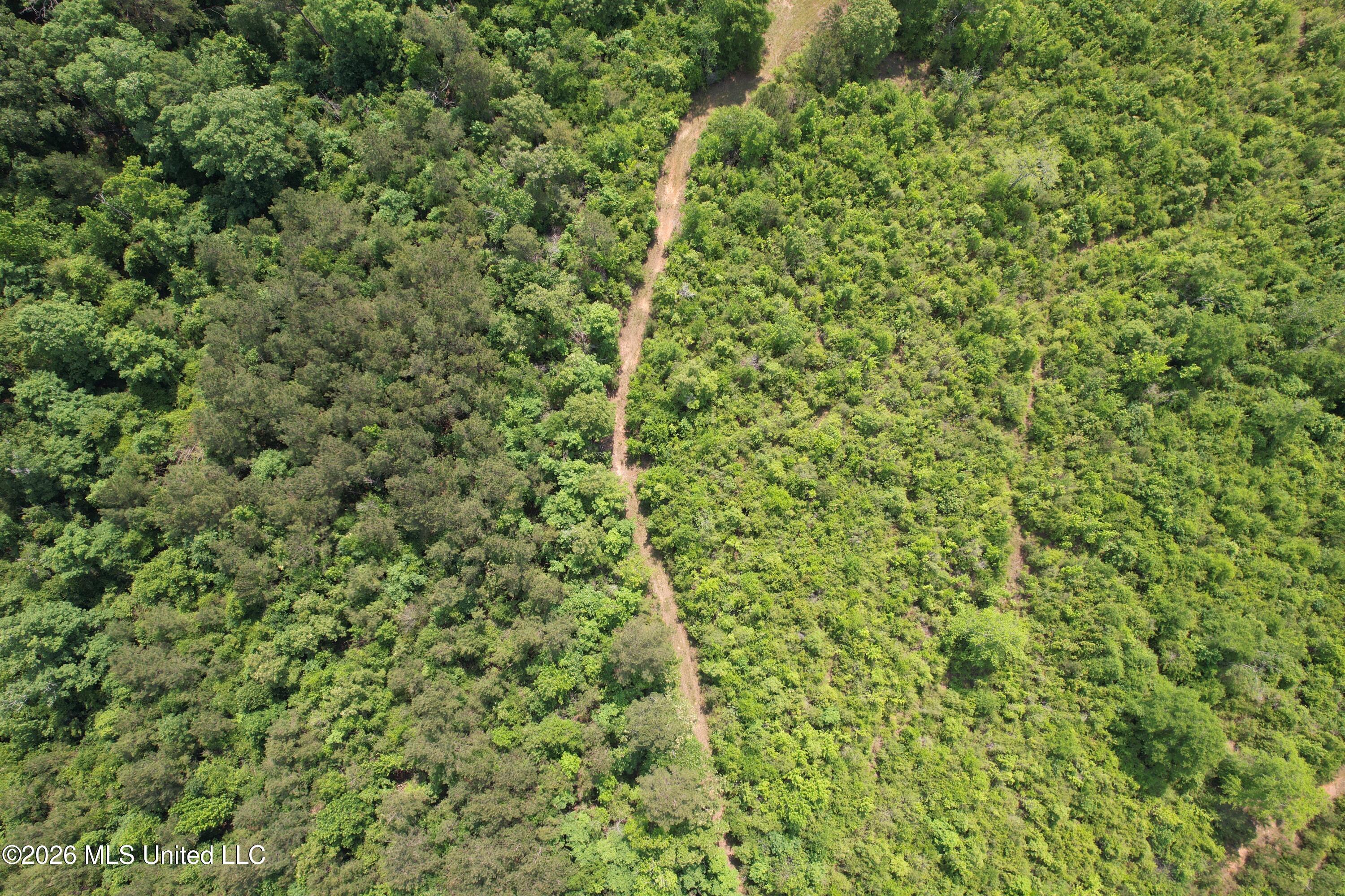 93 Hammond Road Monticello, MS 39654 - Photo 19 of 28 DJI_0927