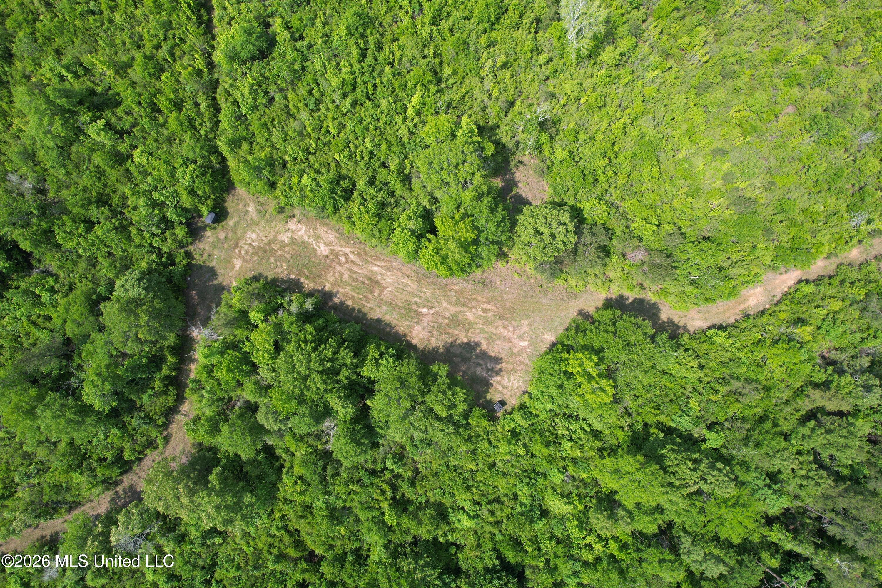 93 Hammond Road Monticello, MS 39654 - Photo 20 of 28 DJI_0928