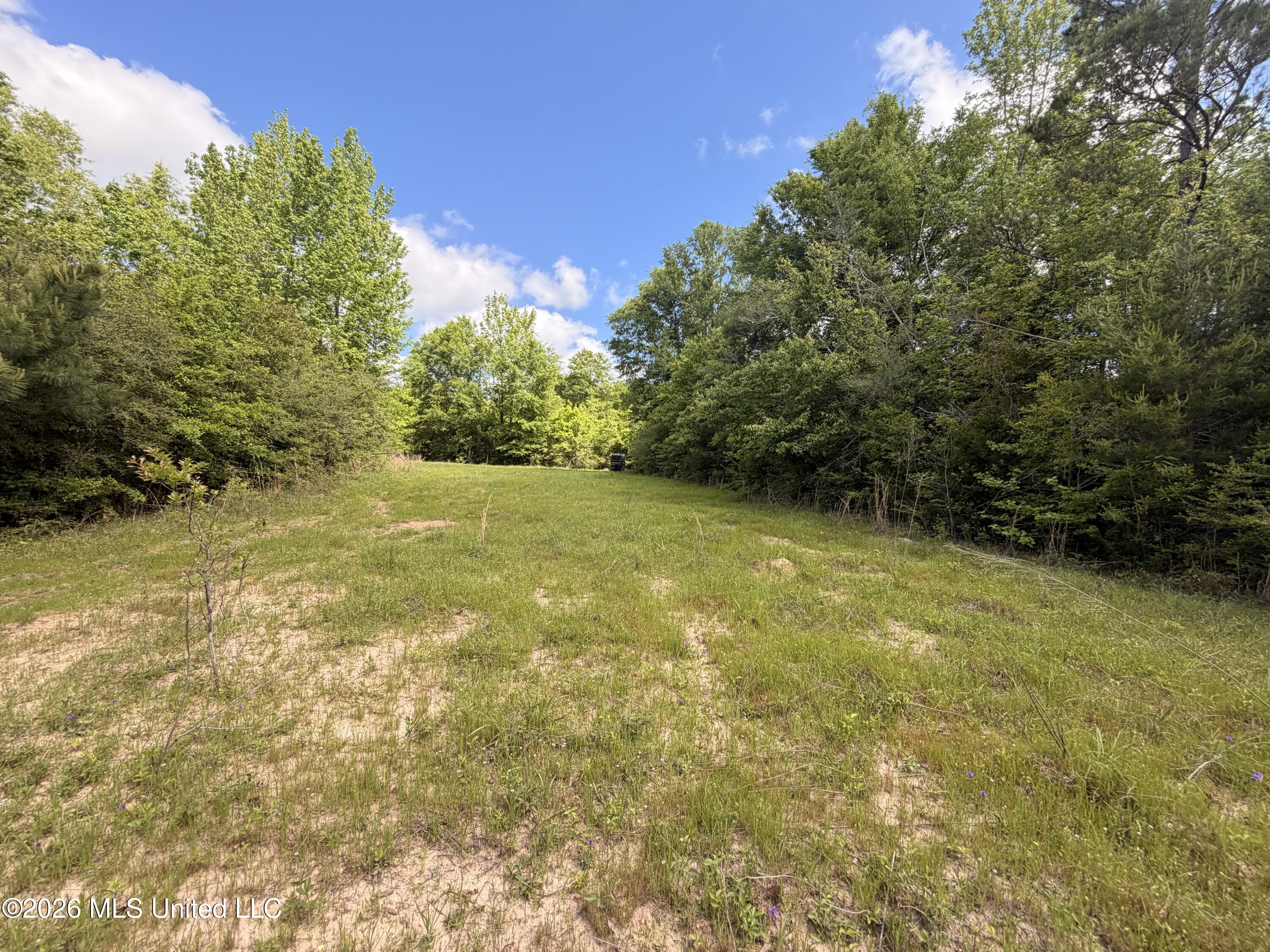 93 Hammond Road Monticello, MS 39654 - Photo 2 of 21 IMG_2822