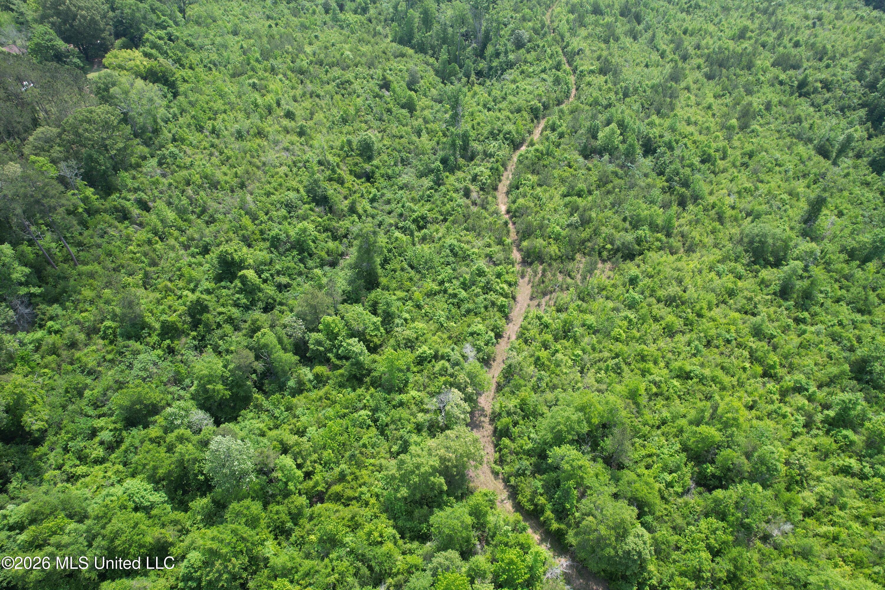 93 Hammond Road Monticello, MS 39654 - Photo 21 of 28 DJI_0929