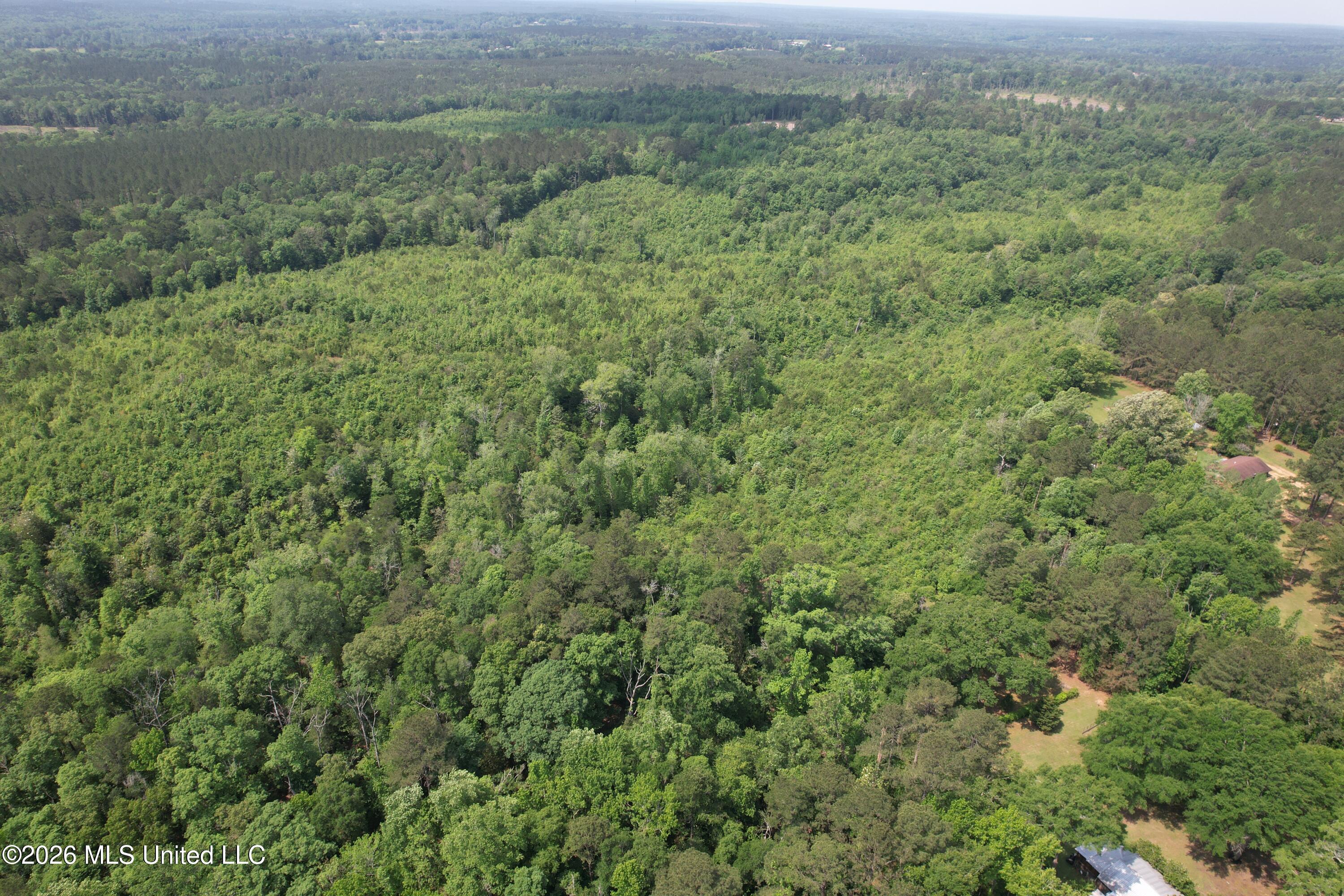 93 Hammond Road Monticello, MS 39654 - Photo 22 of 28 DJI_0930