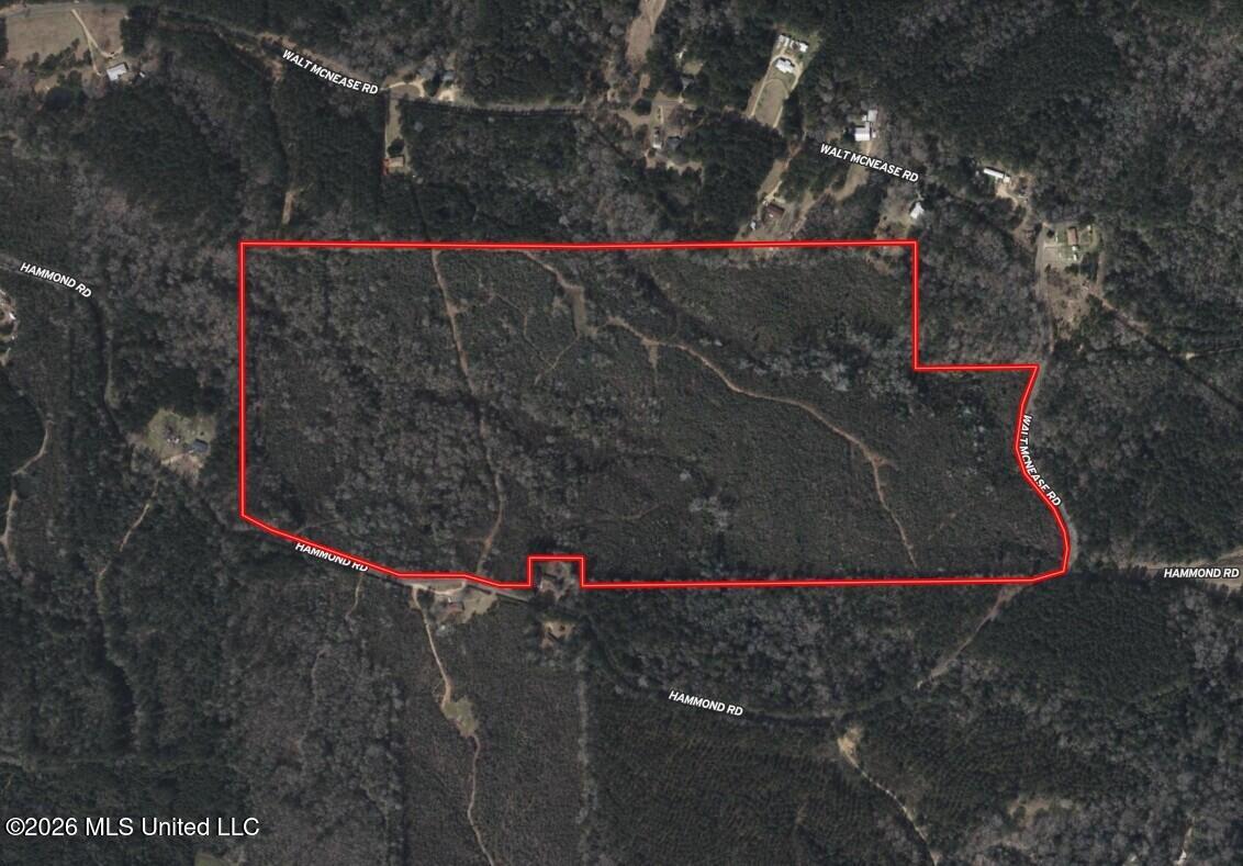 93 Hammond Road Monticello, MS 39654 - Photo 25 of 28 85 Lawrence Aerial2