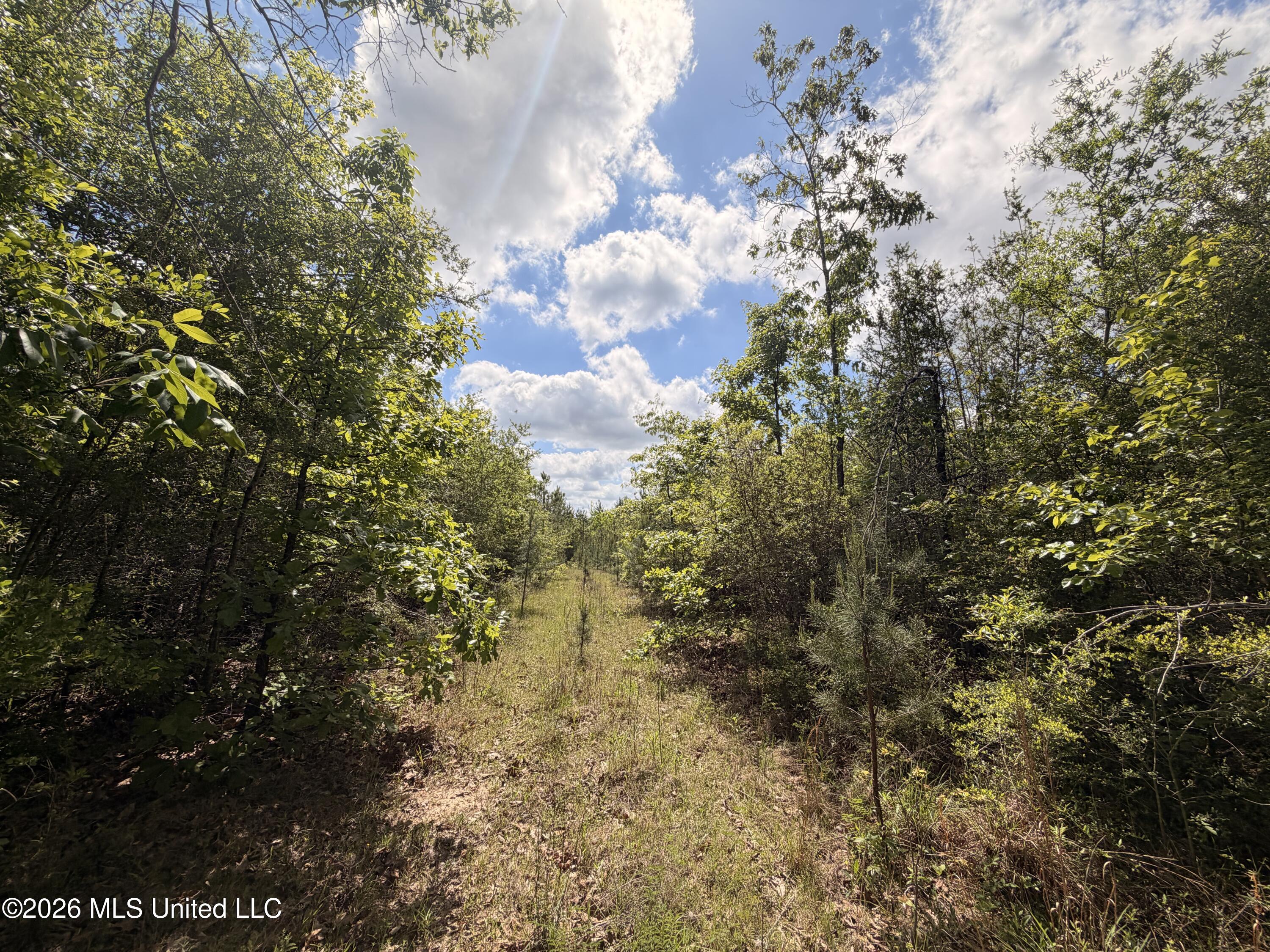 93 Hammond Road Monticello, MS 39654 - Photo 3 of 21 IMG_2837