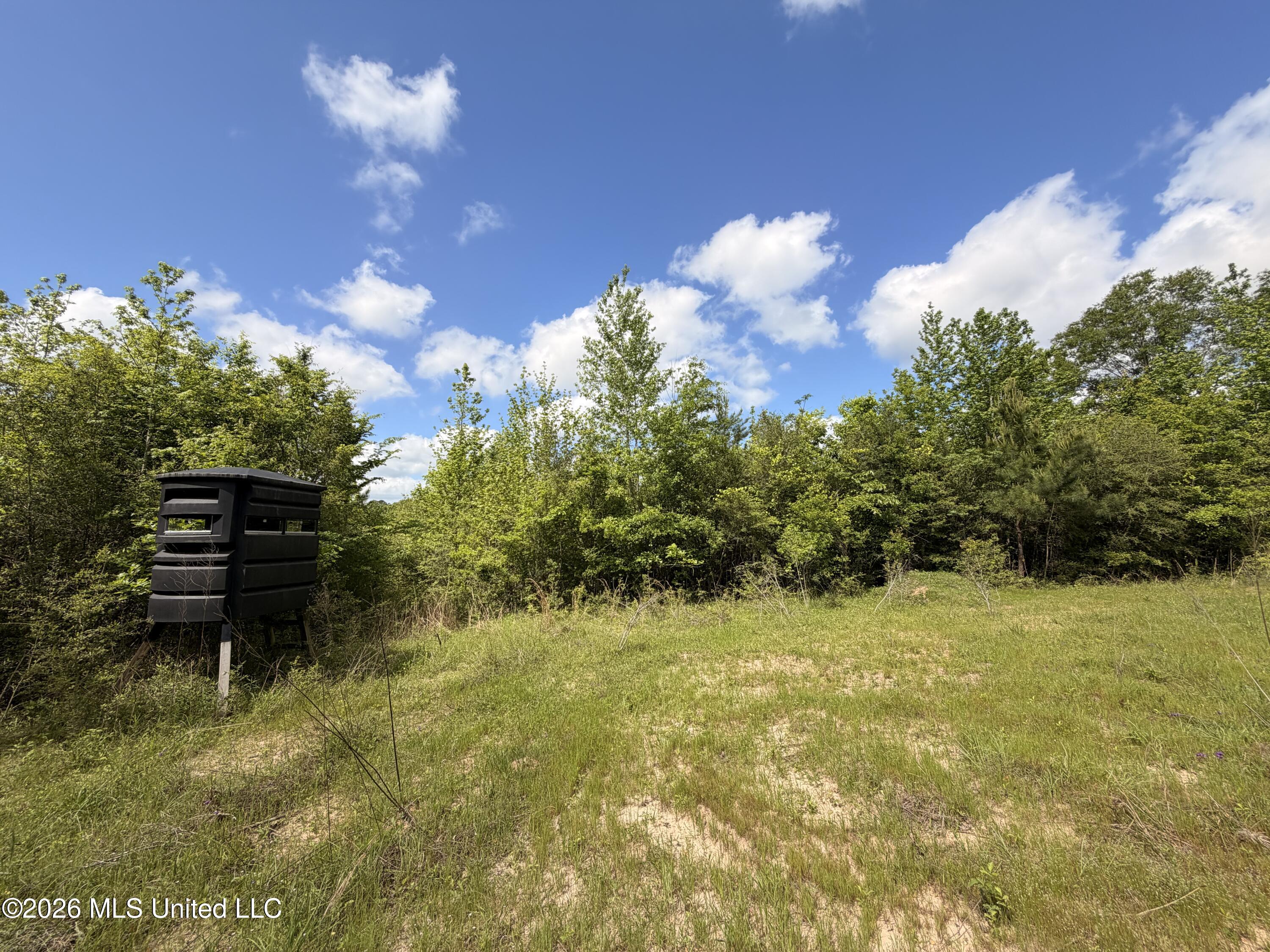 93 Hammond Road Monticello, MS 39654 - Photo 4 of 21 IMG_2831