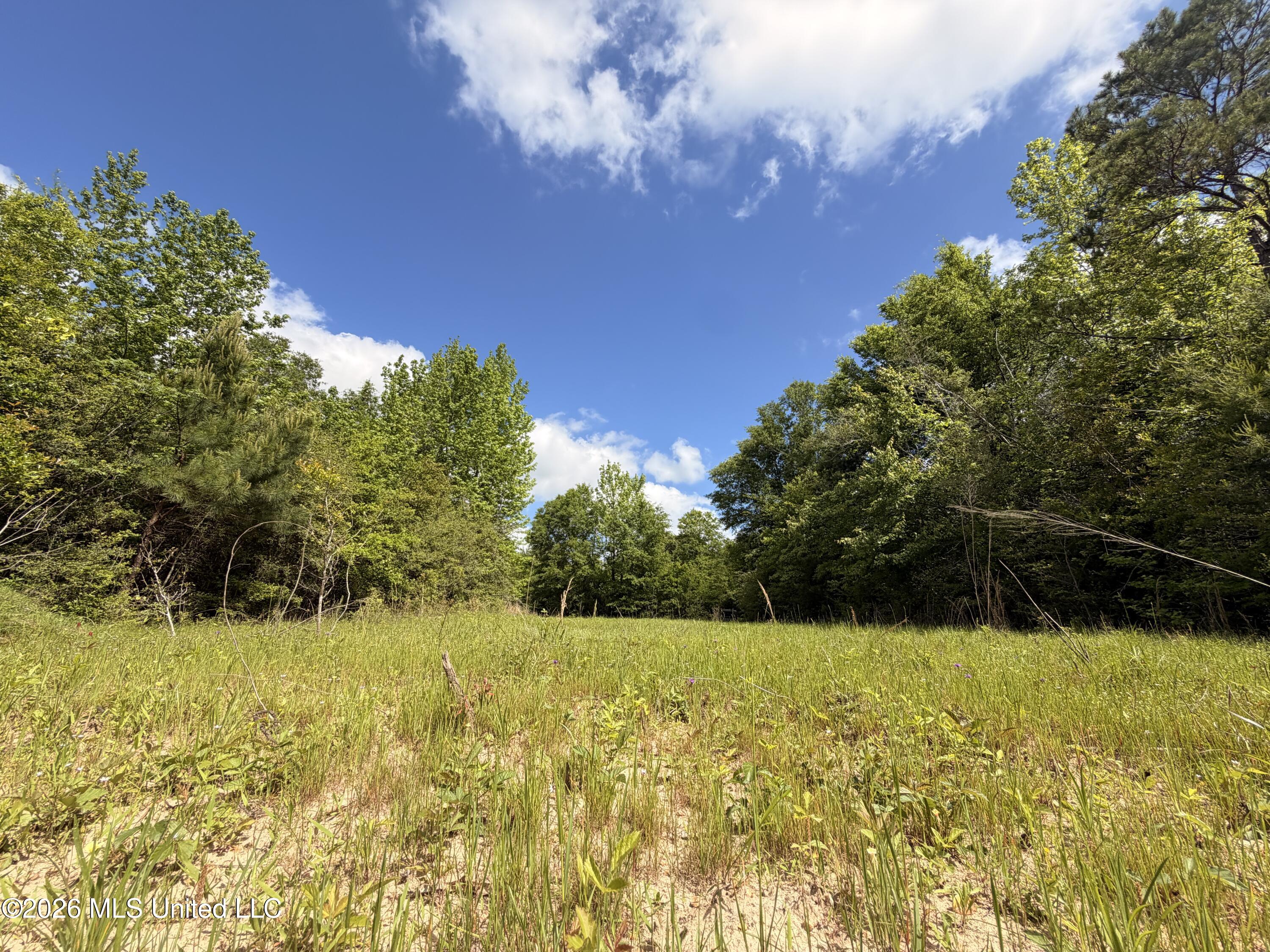 93 Hammond Road Monticello, MS 39654 - Photo 5 of 21 IMG_2825
