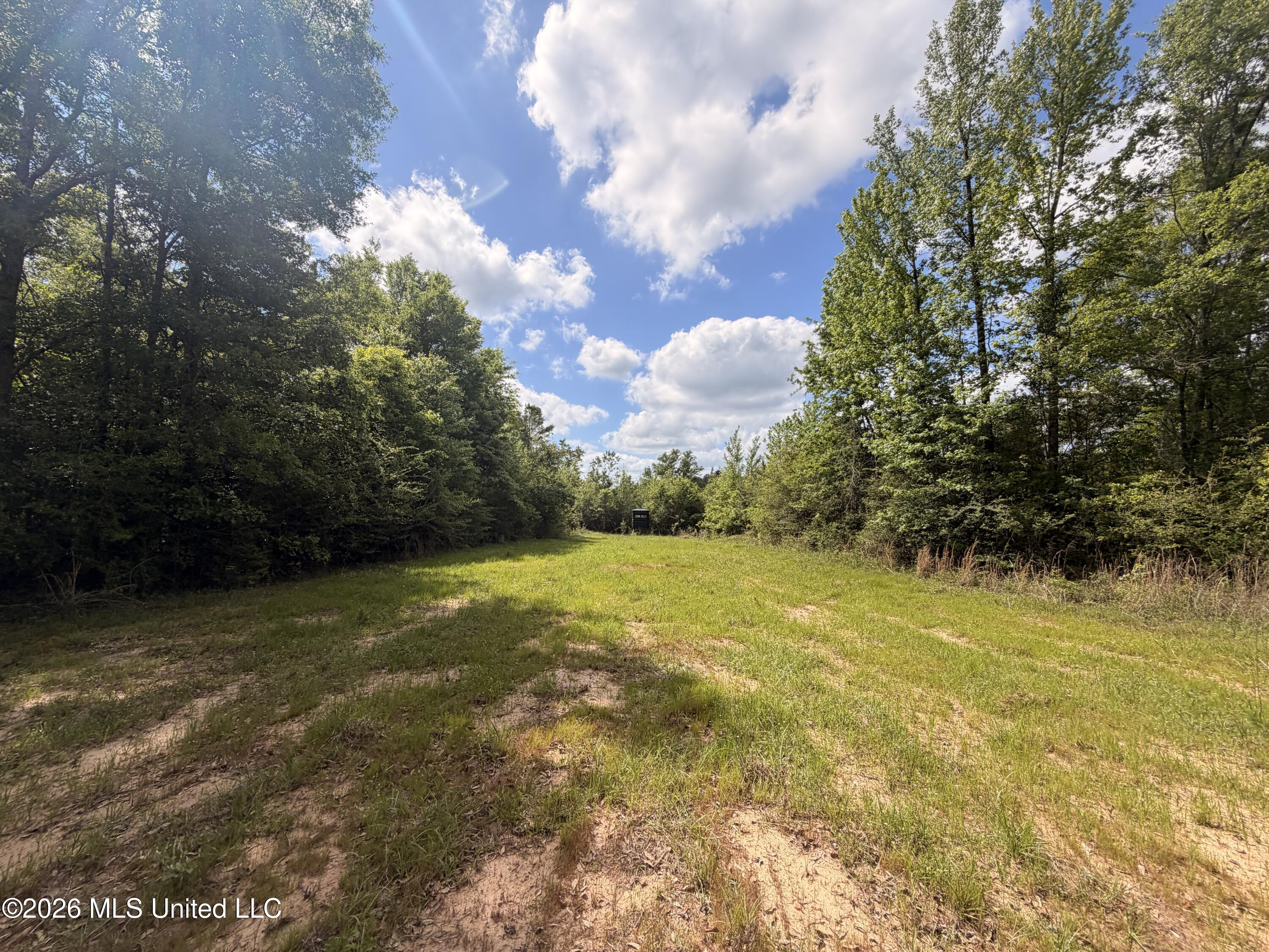 93 Hammond Road Monticello, MS 39654 - Photo 6 of 21 IMG_2817