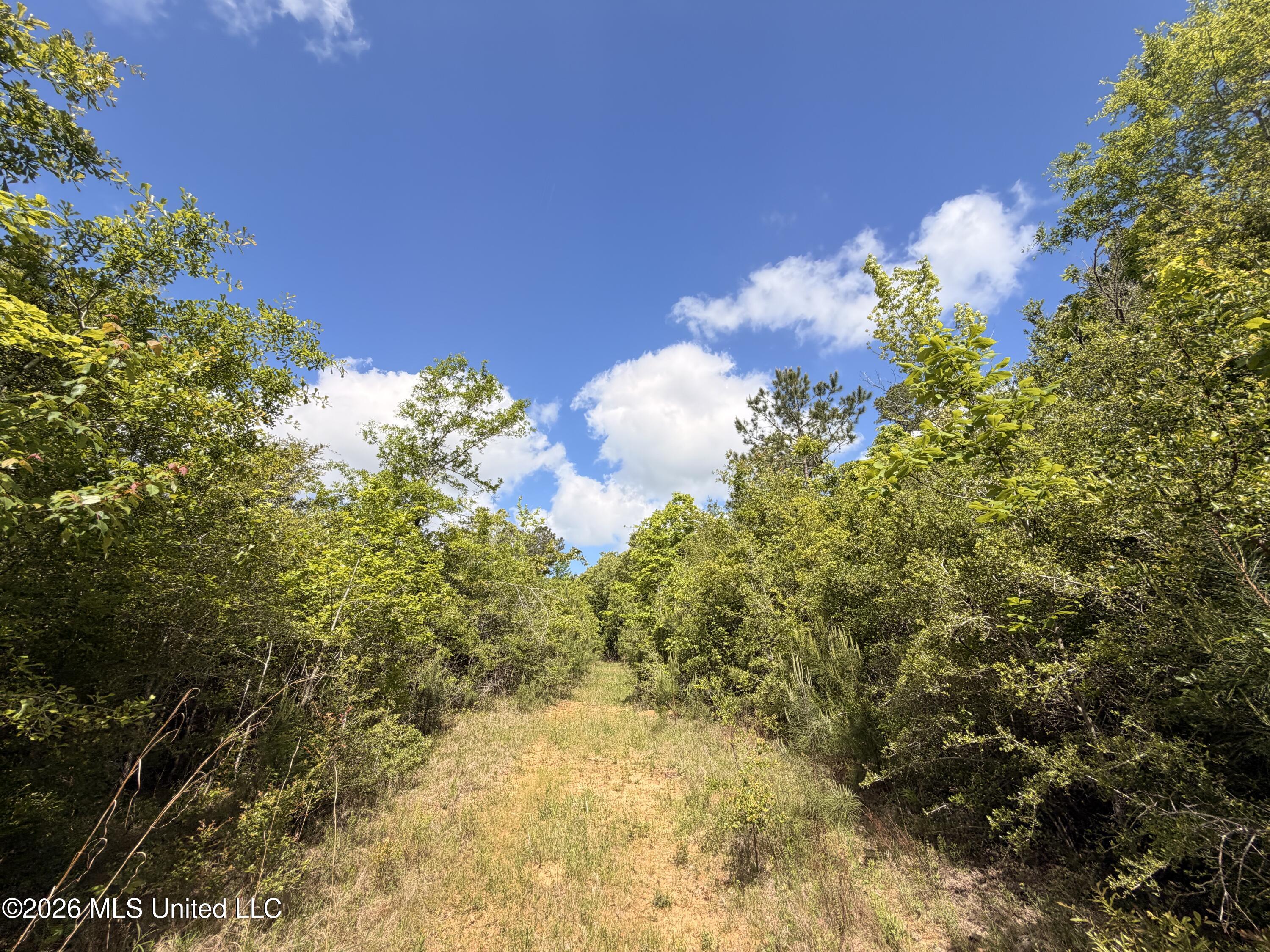 93 Hammond Road Monticello, MS 39654 - Photo 7 of 21 IMG_2813