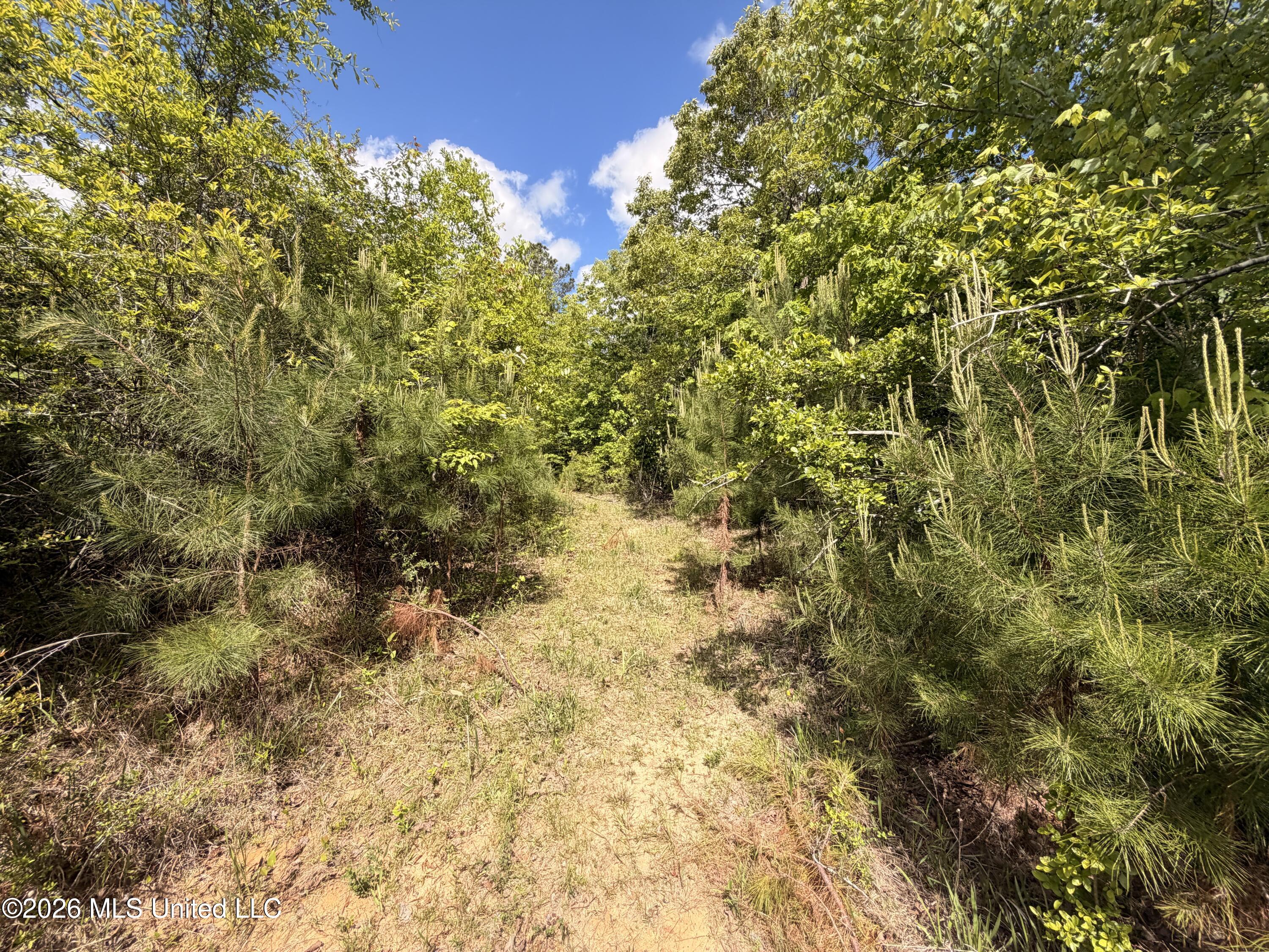 93 Hammond Road Monticello, MS 39654 - Photo 8 of 21 IMG_2810