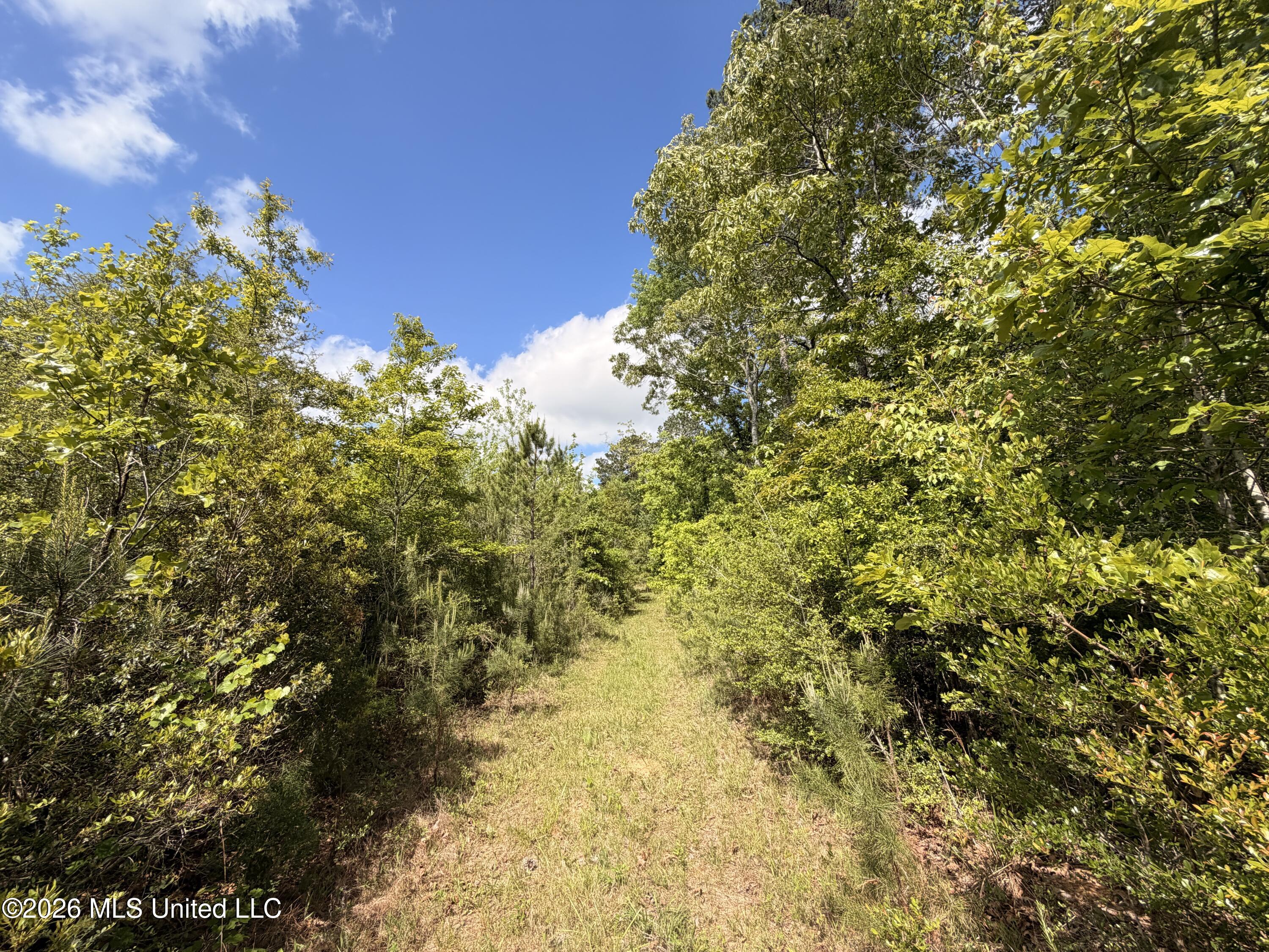 93 Hammond Road Monticello, MS 39654 - Photo 9 of 21 IMG_2809