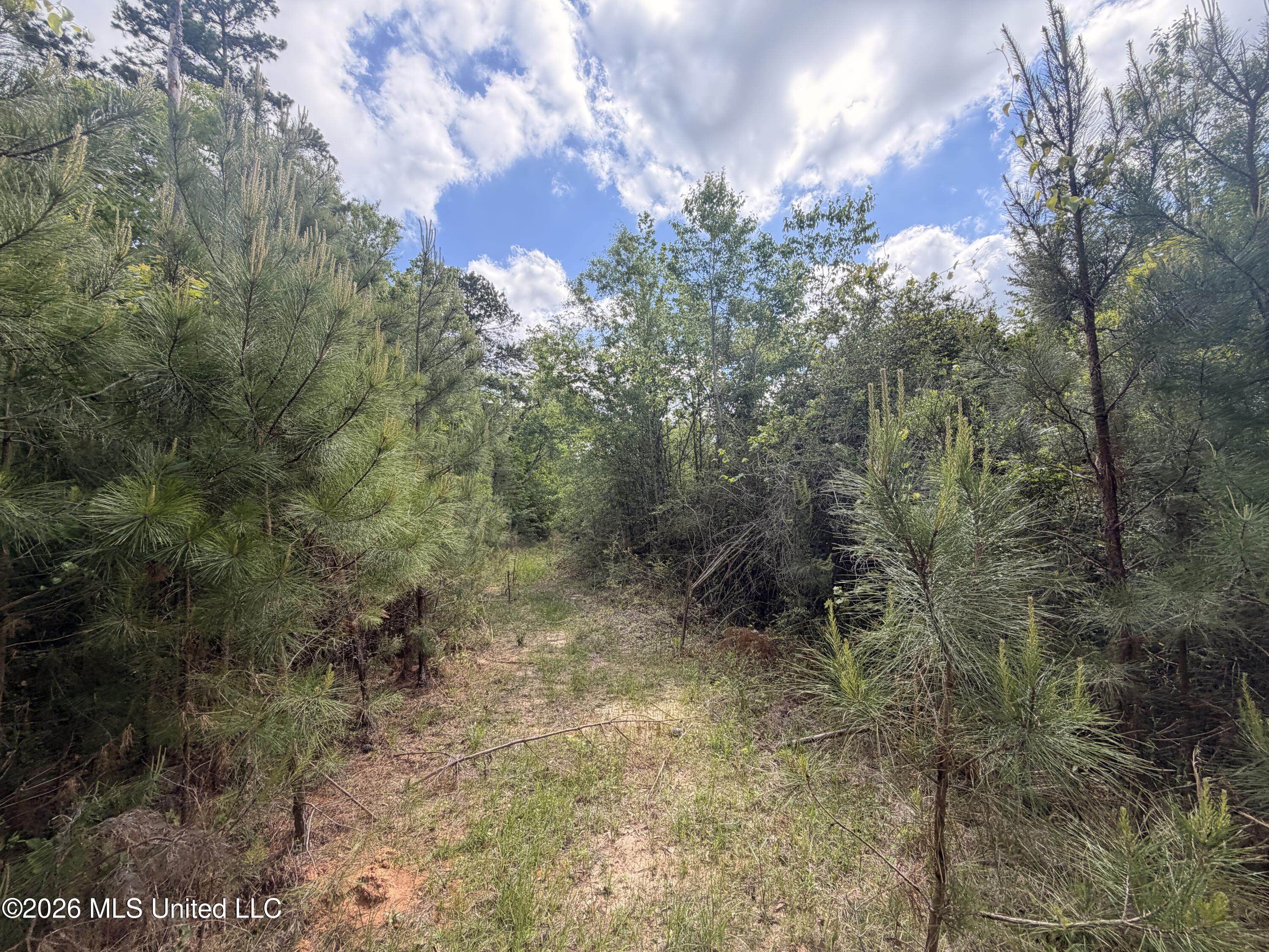 93 Hammond Road Monticello, MS 39654 - Photo 10 of 21 IMG_2807