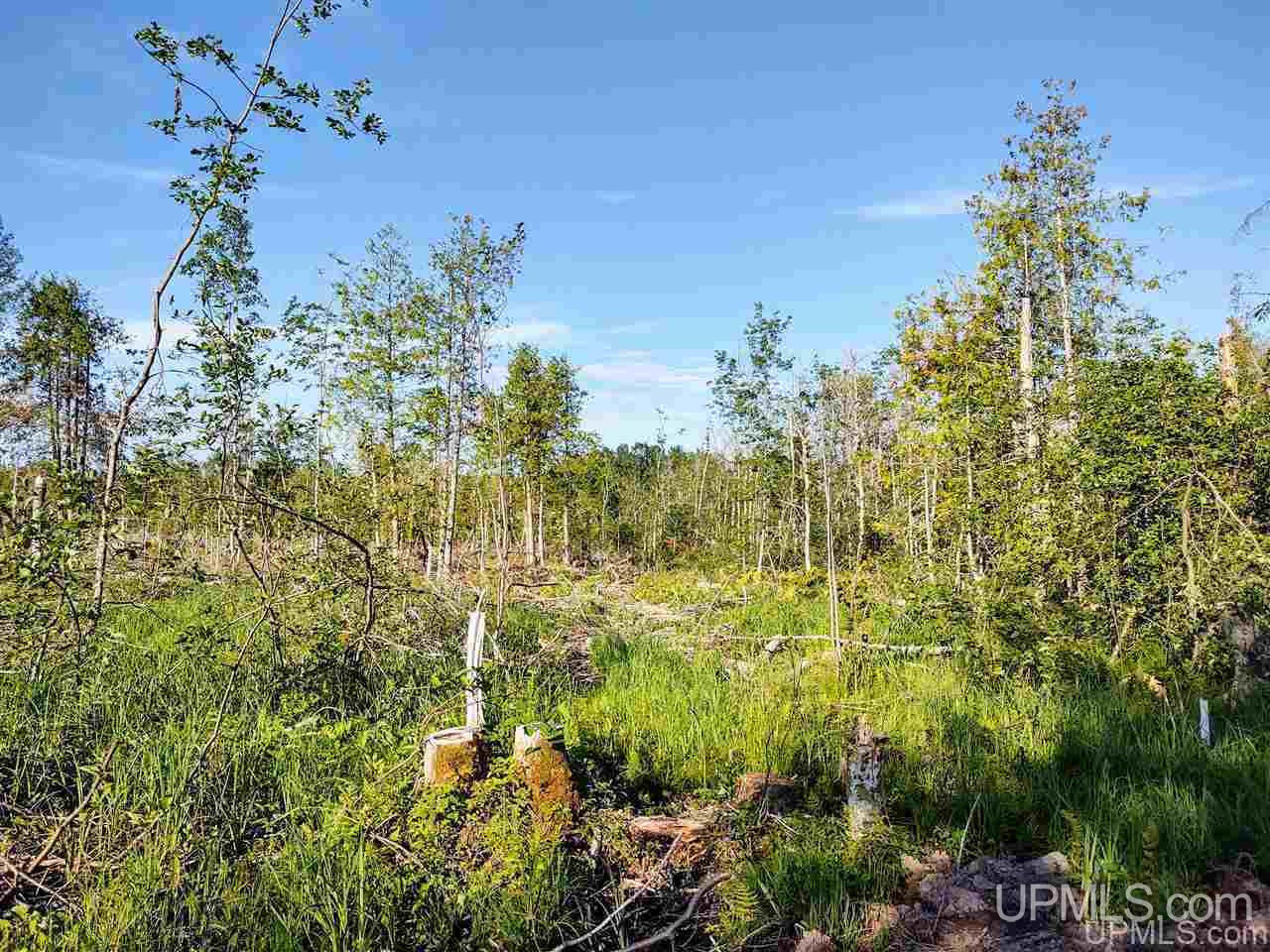 Tbd Off Arnheim Road Baraga, MI 49908 - Photo 23 of 28 Gallery Image 23