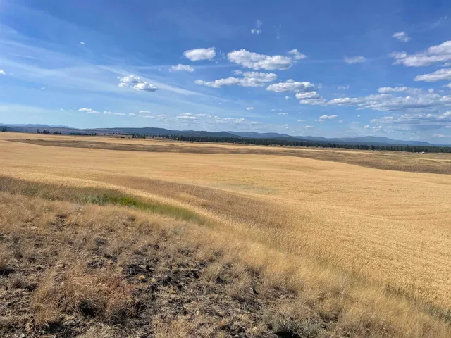 $120,000 | 35251 Crescent N Road, Unit PARCEL 2, Reardan, WA 99029