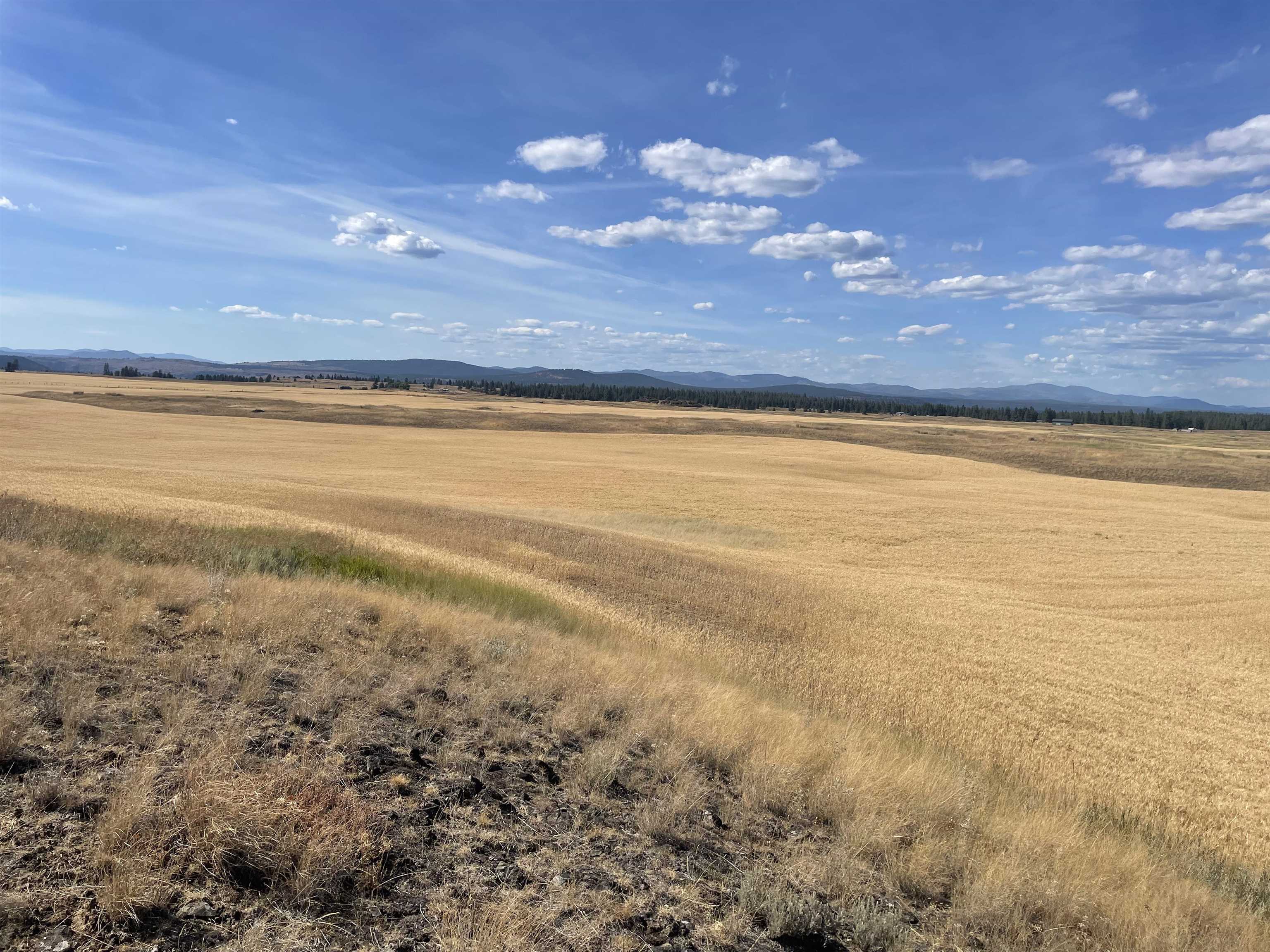 35251 Crescent N Road, Unit PARCEL 2 Reardan, WA 99029 - Photo 11 of 22