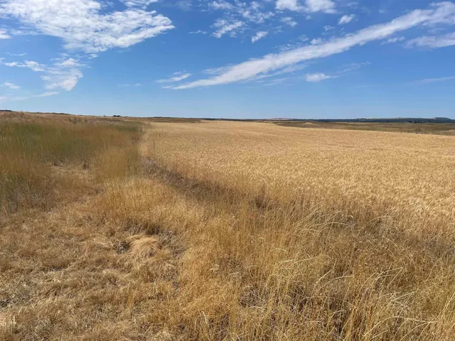 $120,000 | 35251 Crescent N Road, Unit PARCEL 2, Reardan, WA 99029